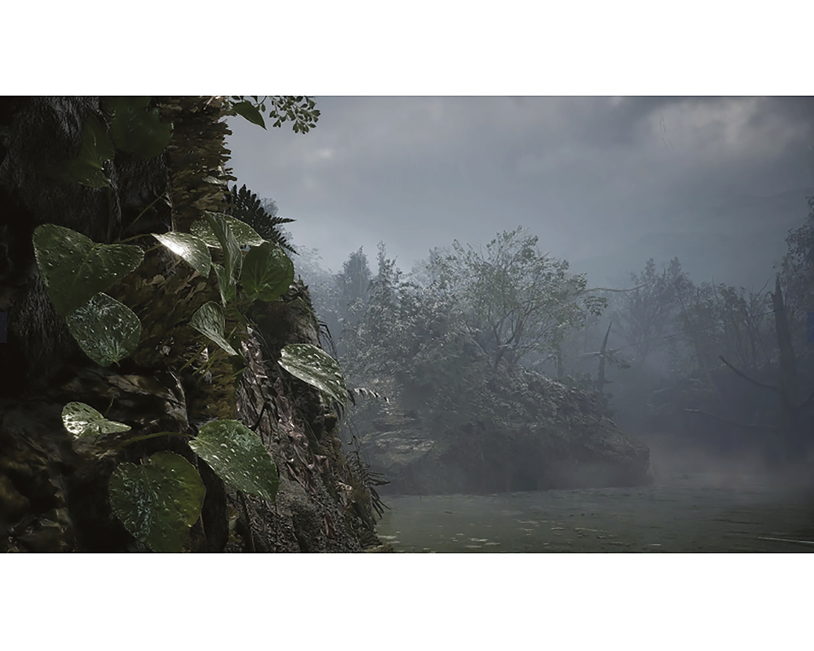 Foto 6 | Foto 6 | Metal Gear Solid Delta: Snake Eater para Xbox Series X