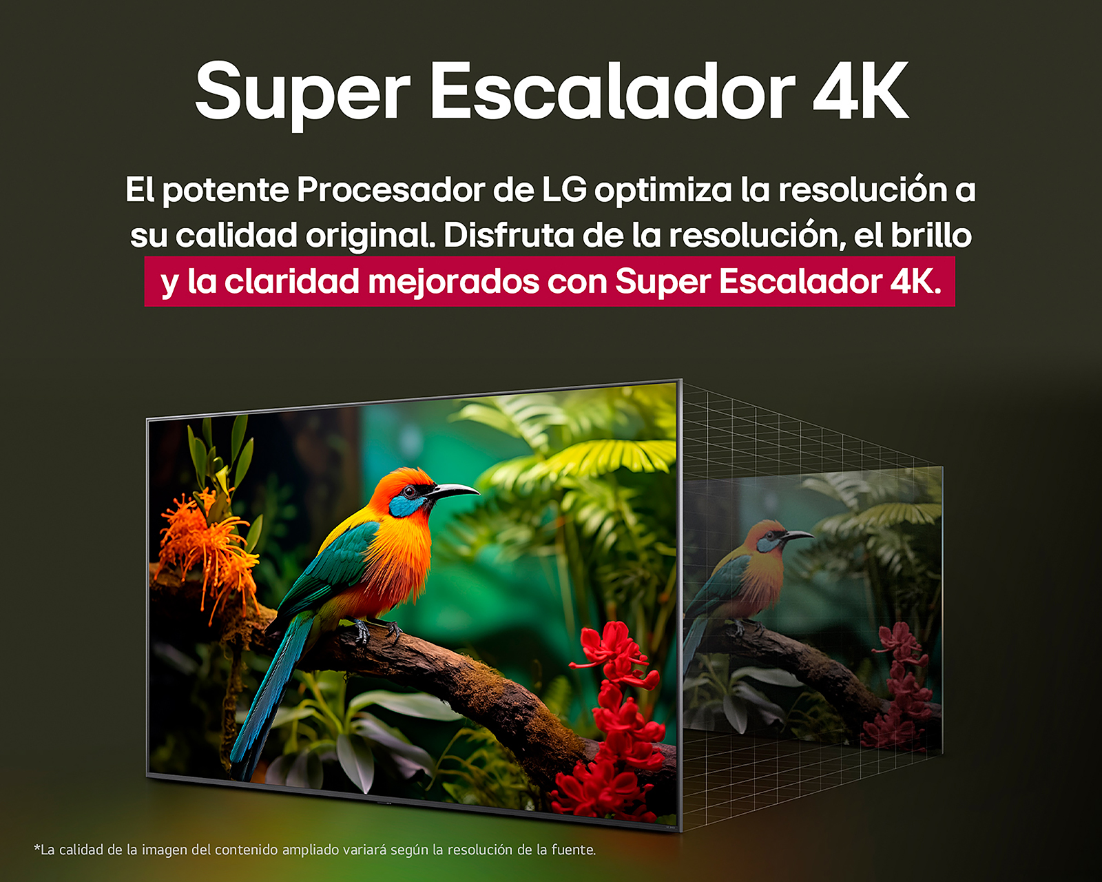 Foto 5 | Foto 5 | Pantalla Smart TV LG Nanocell 65 Pulgadas UHD 4K 65NANO80ASA
