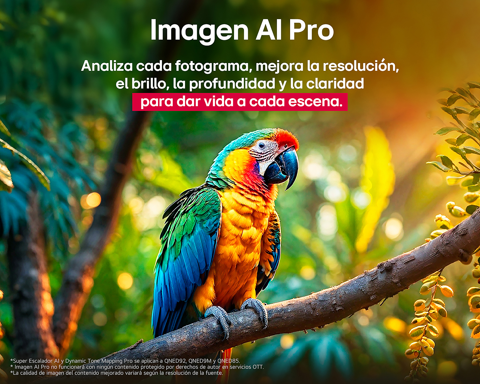 Foto 9 | Foto 9 | Pantalla Smart TV LG QNED evo AI  75 Pulgadas UHD 75QNED85ASG