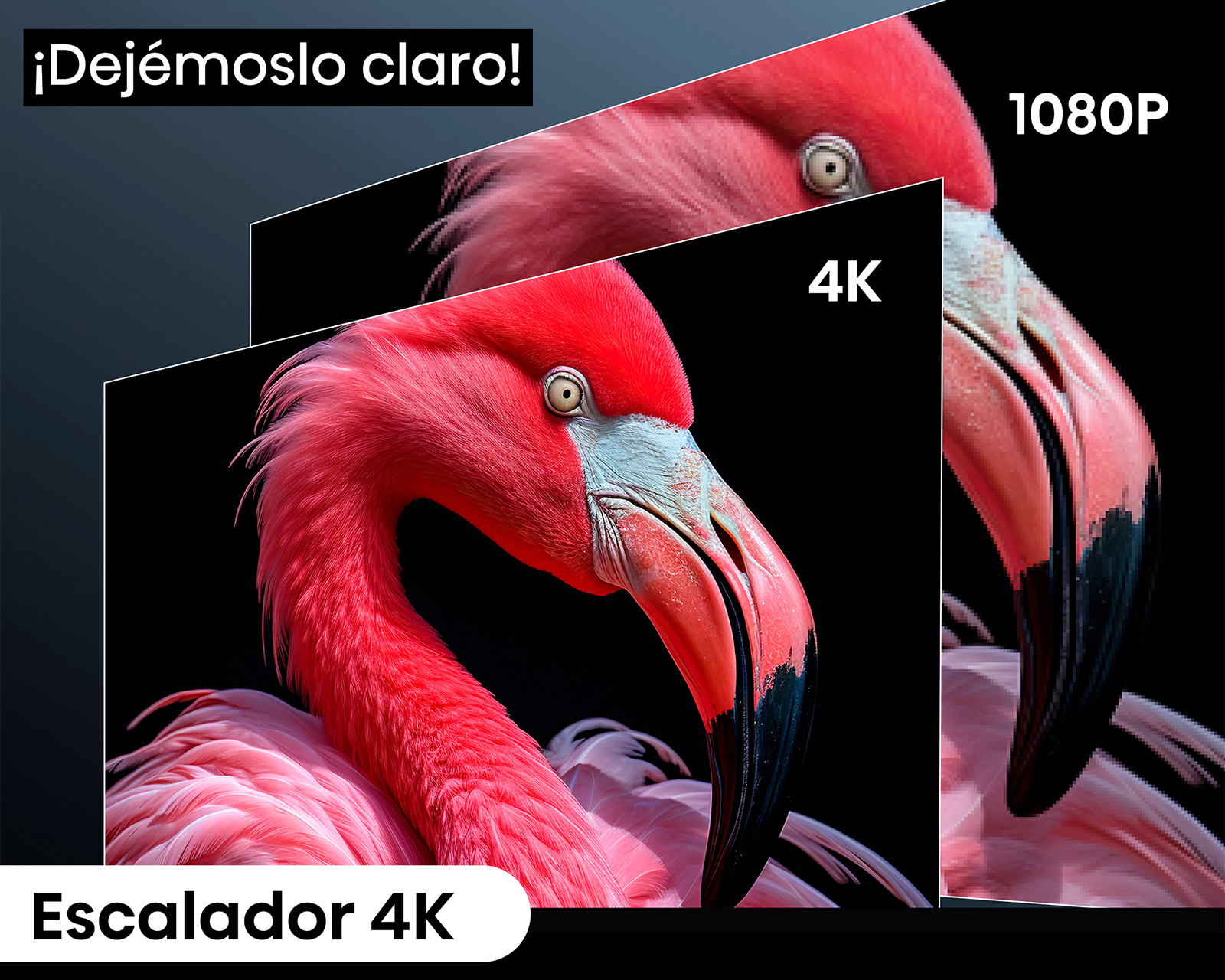Foto 4 pulgar | Foto 3 | Miniproyector Portátil Hisense 3000 Lúmenes 65 - 300 Pulgadas C2 ULTRA
