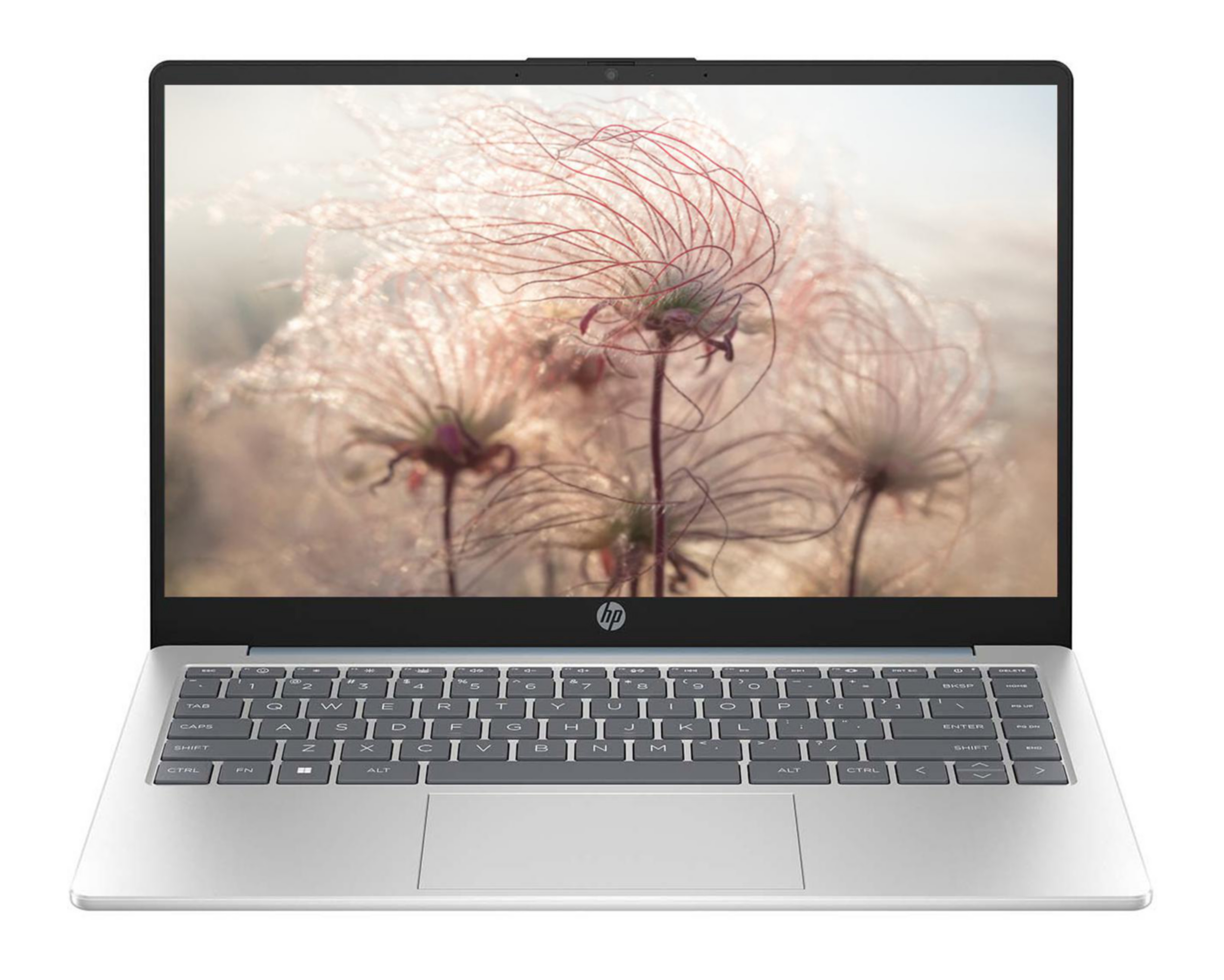 Laptop HP 14-EM0002LA 14" Ryzen 5-7520u 8 GB RAM 512 GB SSD Gris