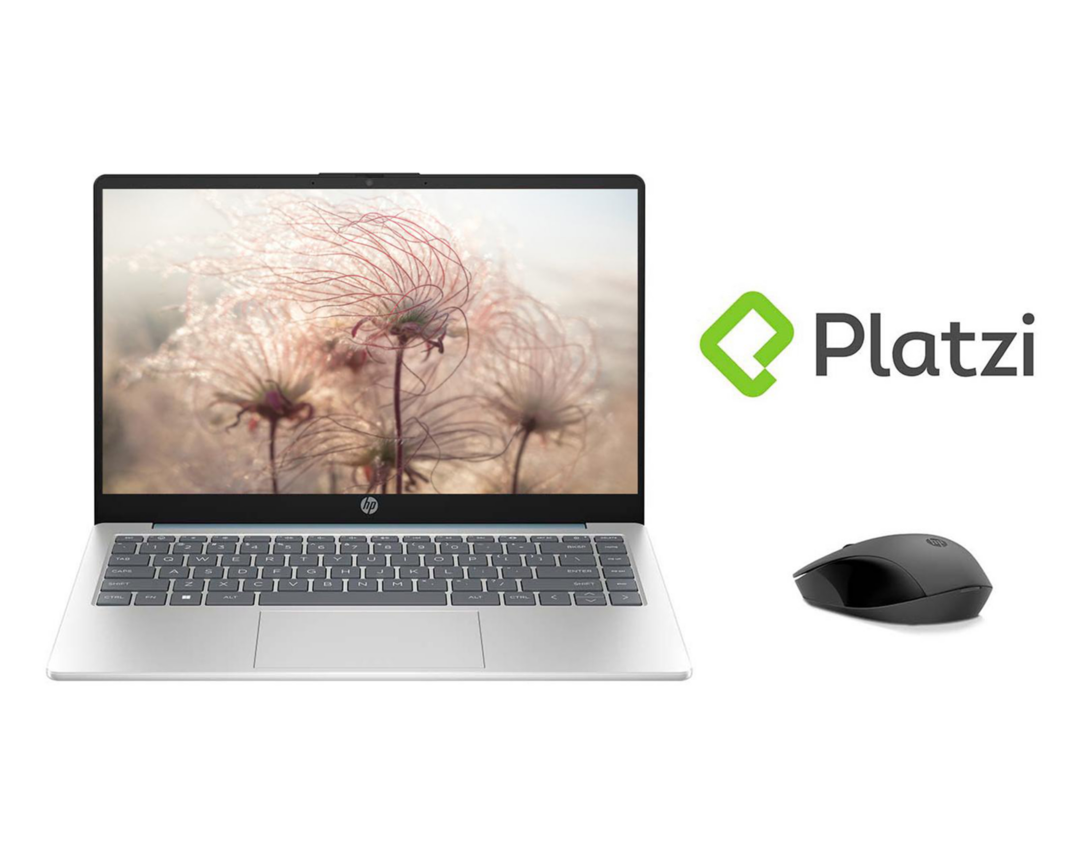Laptop HP 14-EM00 14" Windows Ryzen 3  8 GB RAM 256 GB SSD Plateada + Mouse Inalámbrico 150 + McAfee
