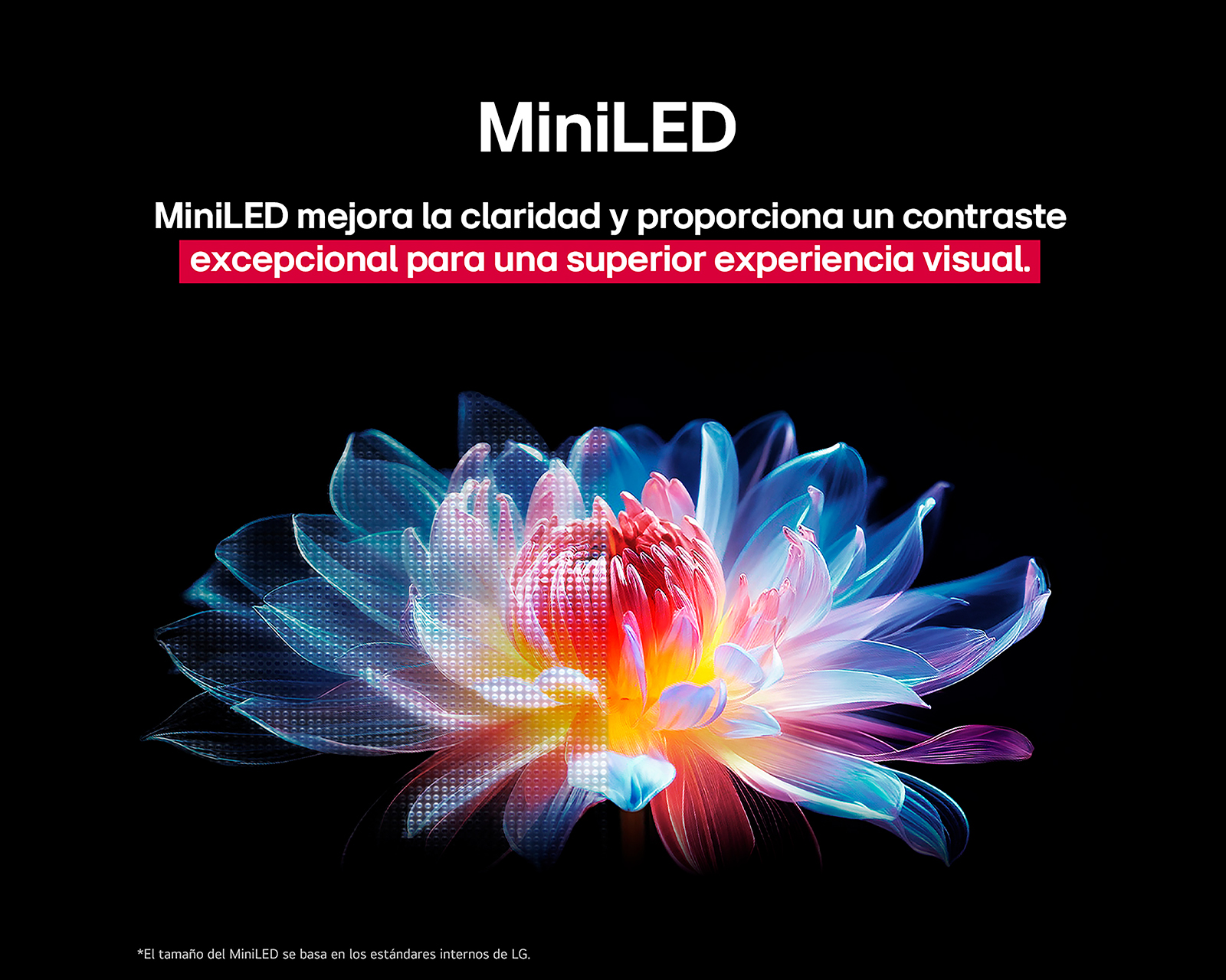 Foto 6 | Foto 6 | Pantalla Smart TV LG QNED Evo AI 65 Pulgadas 4K MiniLED 65QNED92ASA