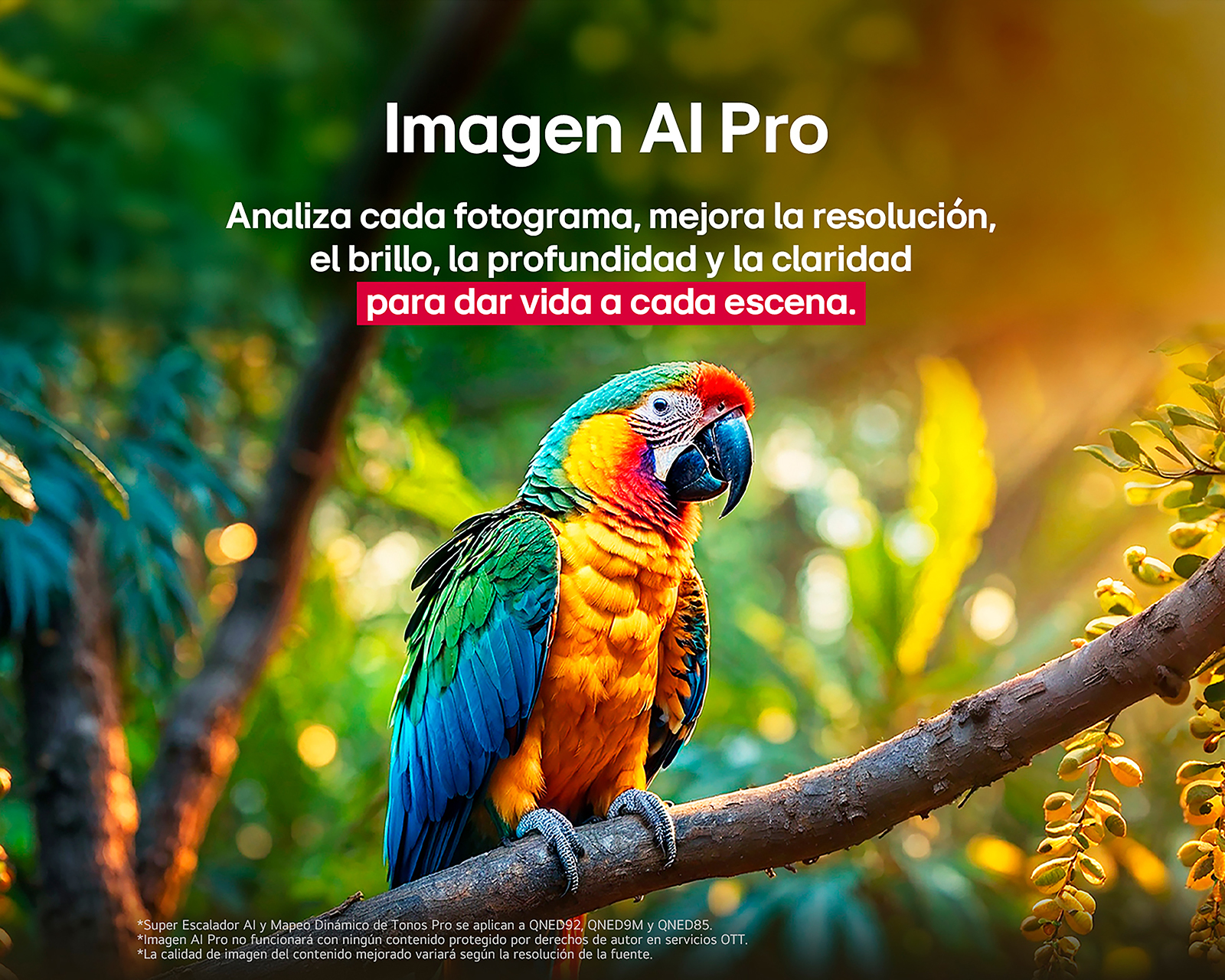 Foto 7 | Foto 7 | Pantalla Smart TV LG QNED Evo AI 65 Pulgadas 4K MiniLED 65QNED92ASA