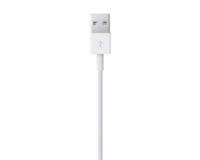 Foto 3 | Foto 3 | Cable Lightning a USB Apple (1 m)