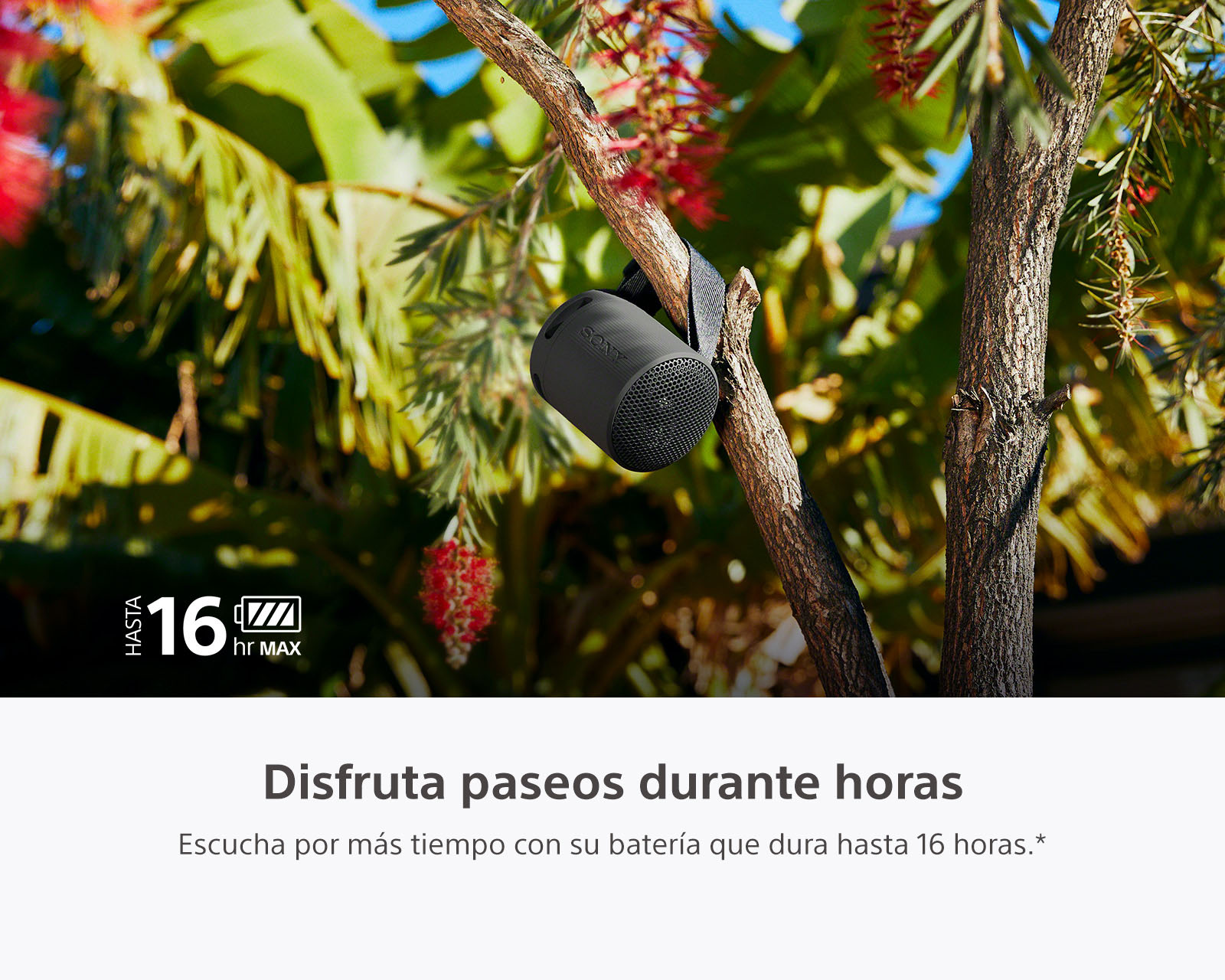 Foto 5 pulgar | Foto 4 | Bocina Bluetooth Portátil Sony SRS-XB100/BCLA Resistente al Agua y Polvo