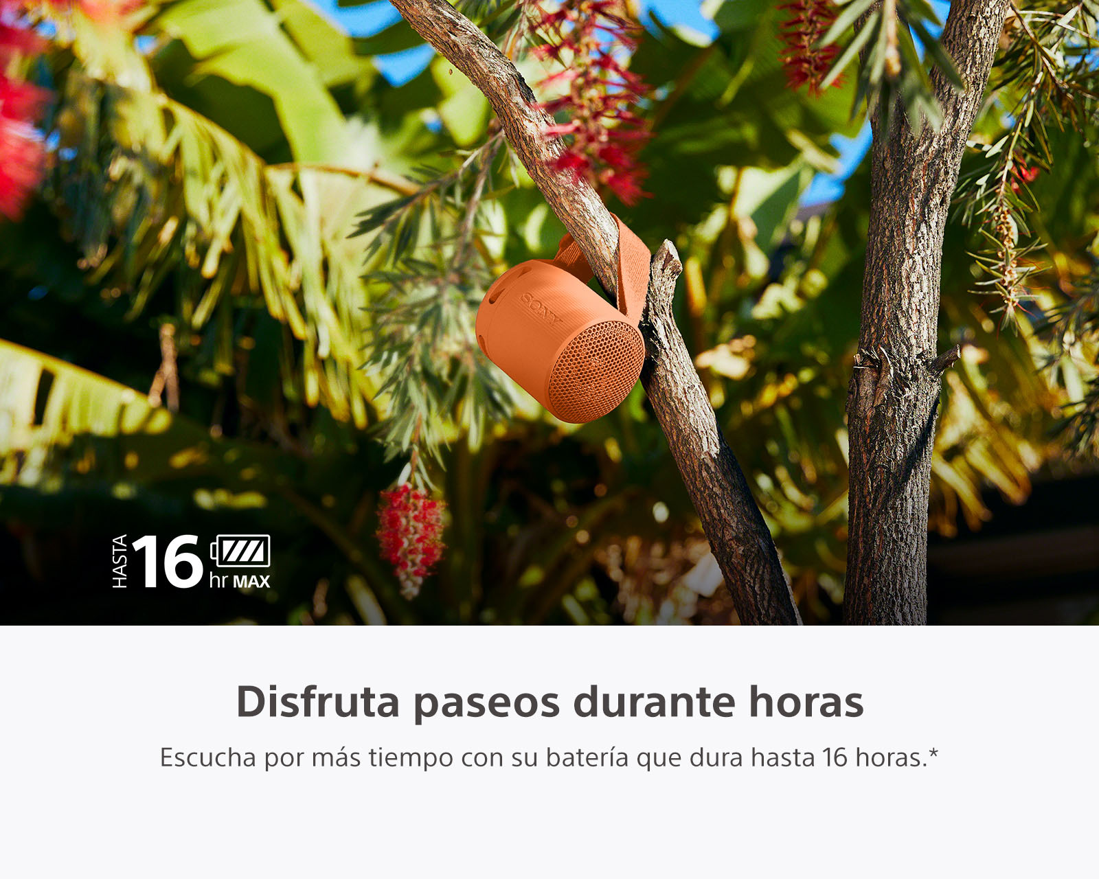 Foto 4 | Foto 4 | Bocina Bluetooth Portátil Sony SRS-XB100 Resistente al Agua y Polvo