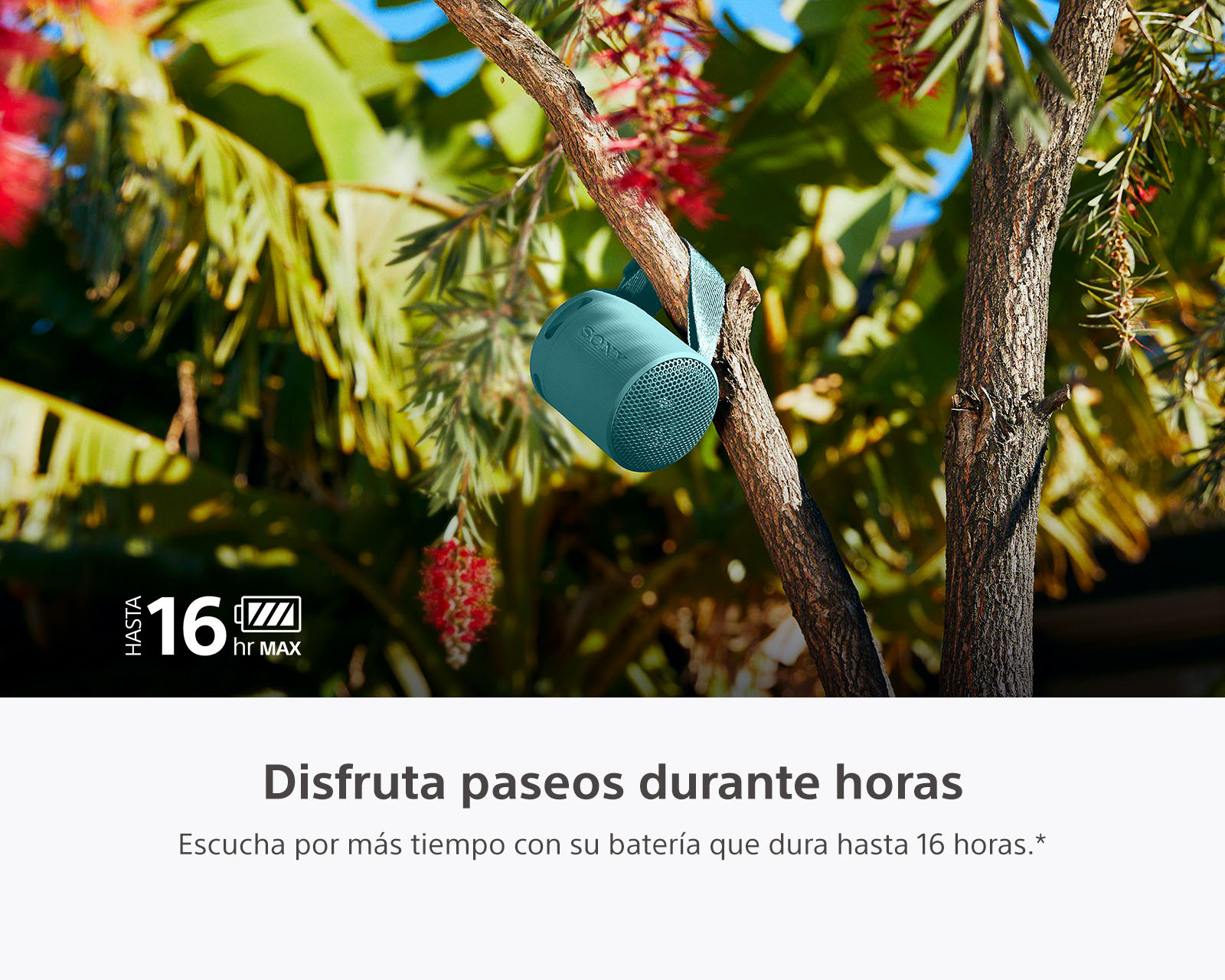 Foto 5 | Foto 4 | Bocina Bluetooth Portátil Sony SRS-XB100/LCLA Resistente al Agua y Polvo