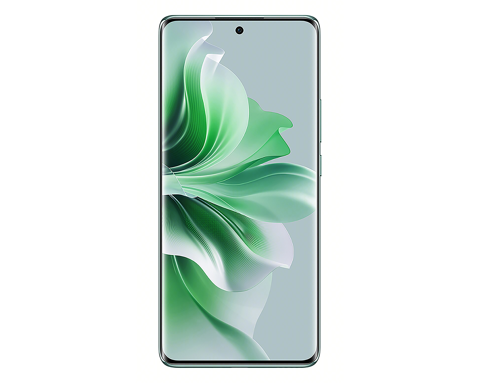 Foto 2 | Foto 2 | Celular Oppo Liberado Reno 11 5G 256 GB Verde
