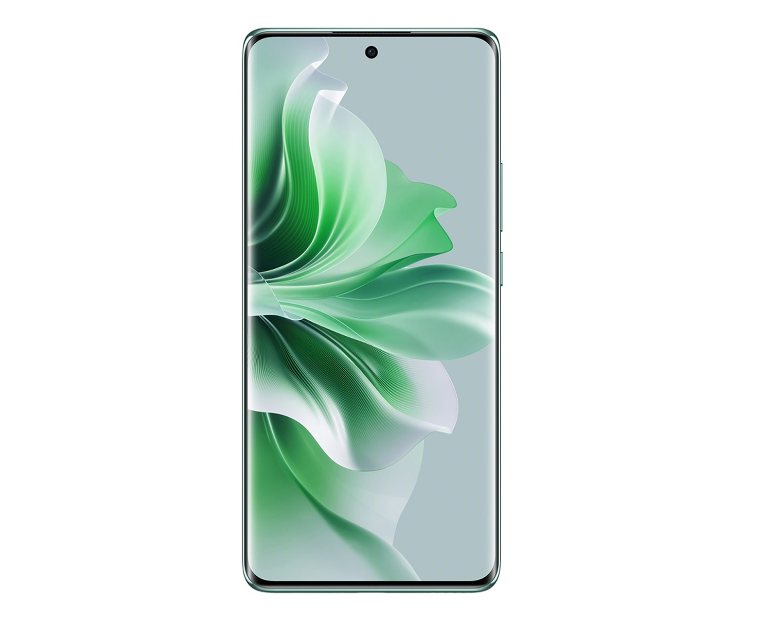 Foto 2 | Foto 2 | Movistar OPPO Reno 11 256 GB Verde