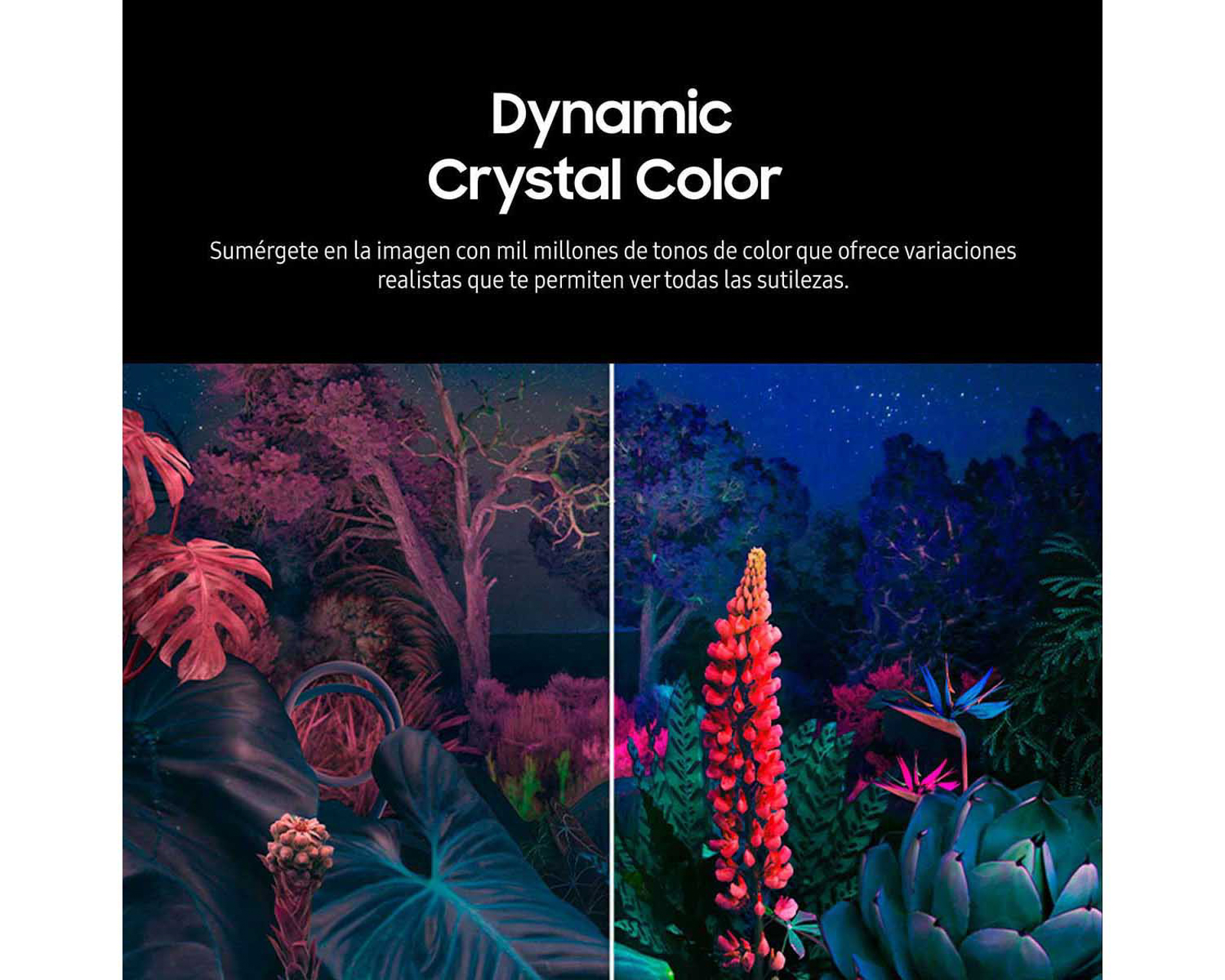 Foto 6 | Foto 6 | Pantalla Smart TV Samsung LED 43 Pulgadas Crystal UHD CU8000