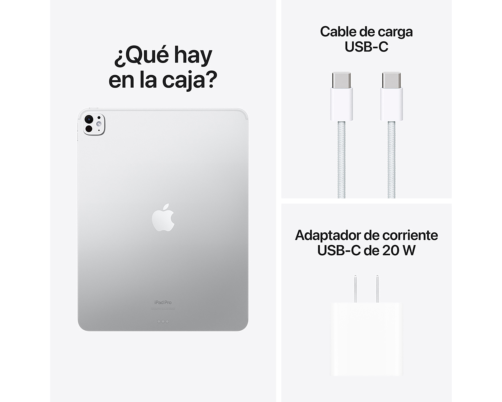 Foto 10 | Foto 10 | iPad Pro 13 Pulgadas 256 GB Plata