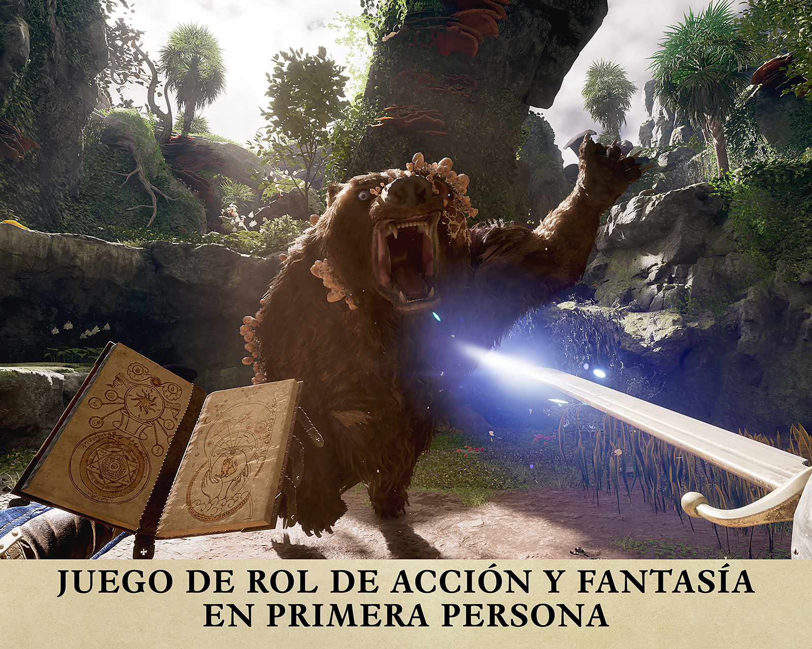 Foto 6 pulgar | Foto 5 | Avowed Edición Premium Steelbook para Xbox Series X/S y Windows