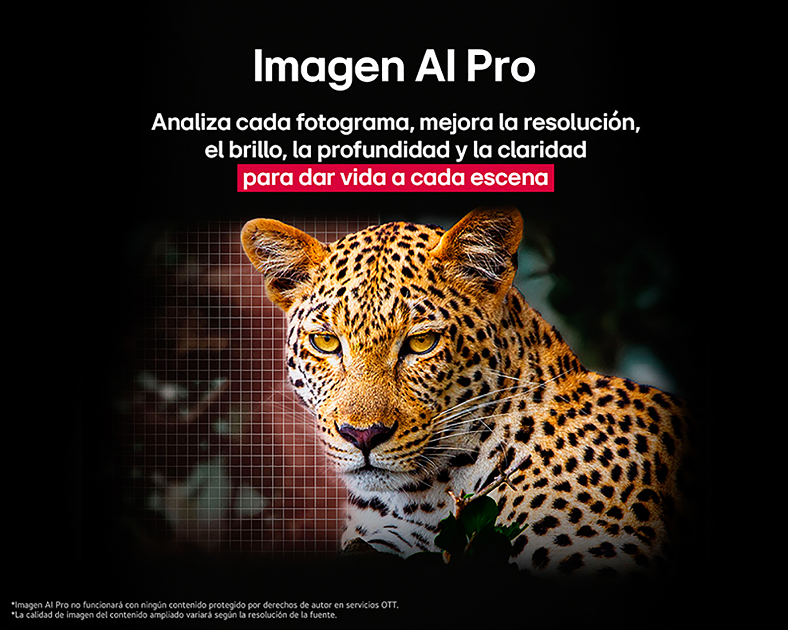 Foto 8 | Foto 8 | Pantalla Smart TV LG OLED 55 Pulgadas UHD OLED55B5