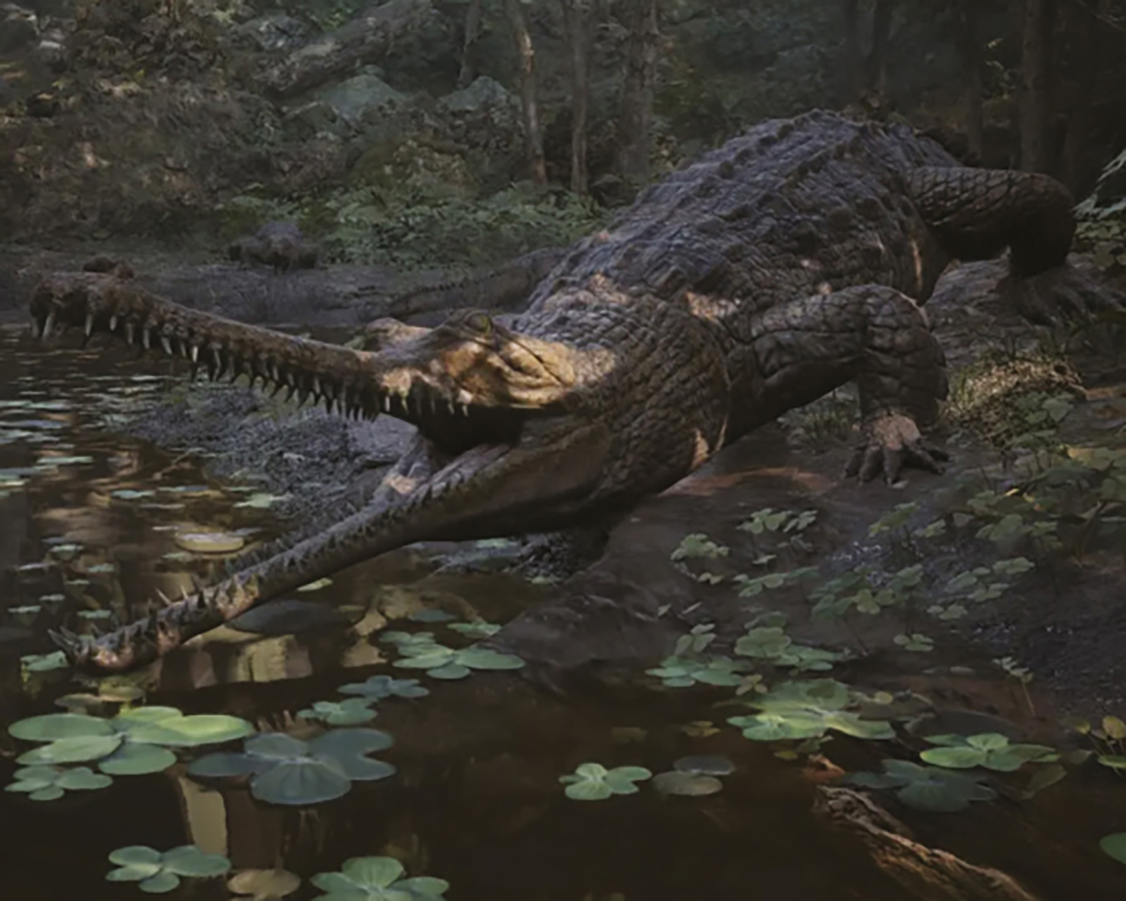 Foto 4 | Foto 4 | Metal Gear Solid Delta: Snake Eater para PlayStation 5
