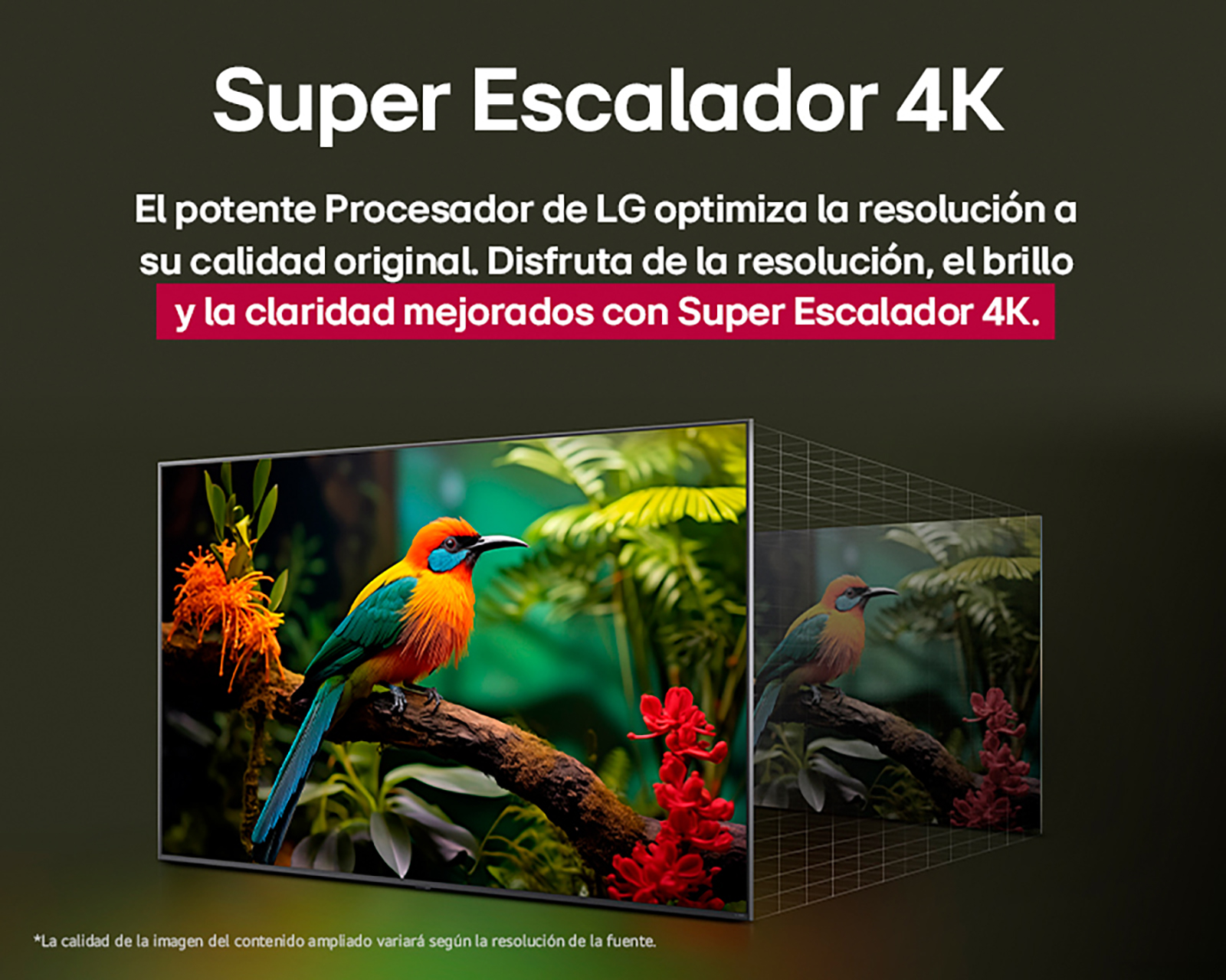 Foto 6 pulgar | Foto 5 | Pantalla Smart TV LG NanoCell 50 Pulgadas Ultra HD 4K 50NANO80ASA
