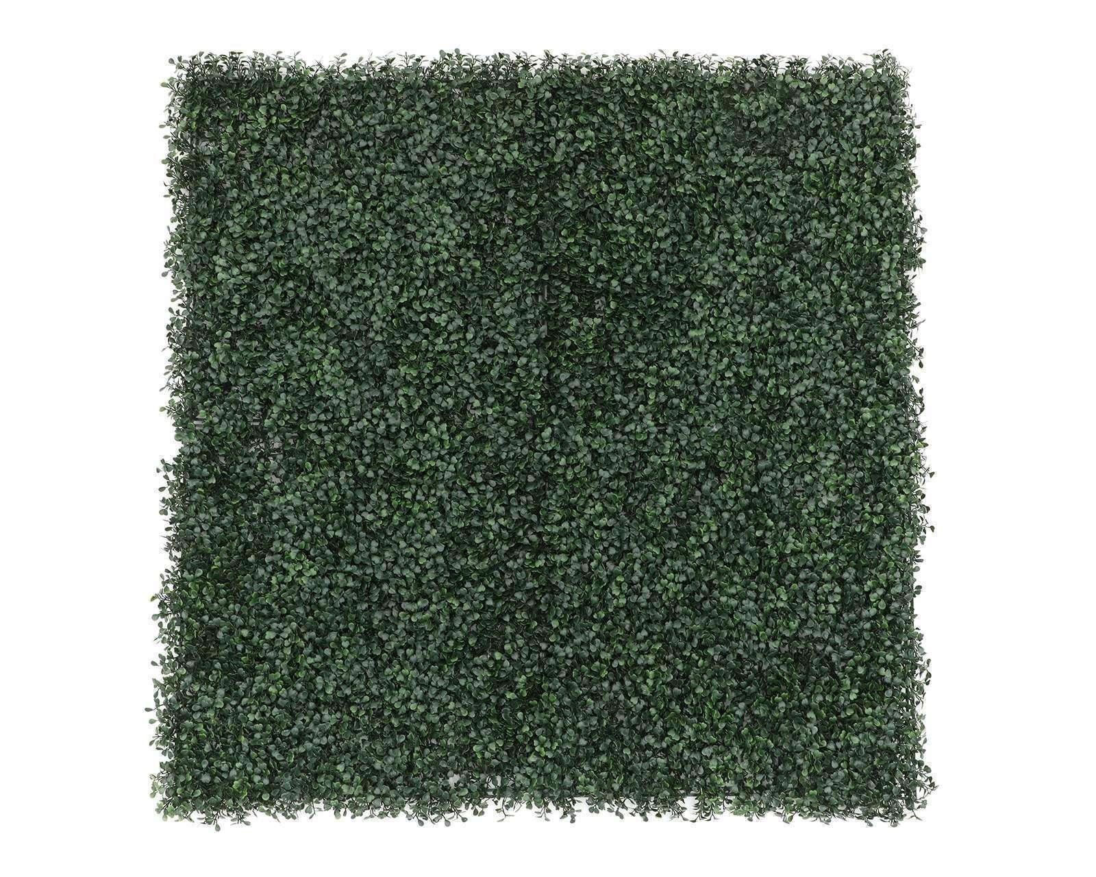 Foto 2 | Foto 2 | Follaje Verde Montserrat 1 Pieza