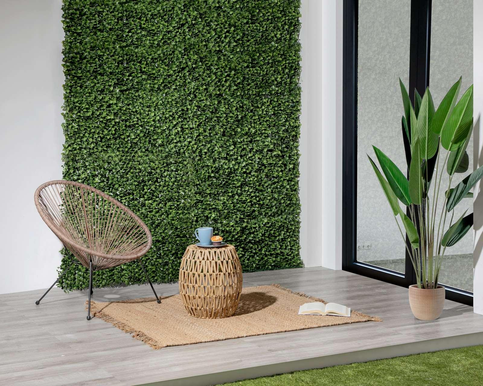 Foto 1 | Foto 1 | Follaje Verde Sevilla