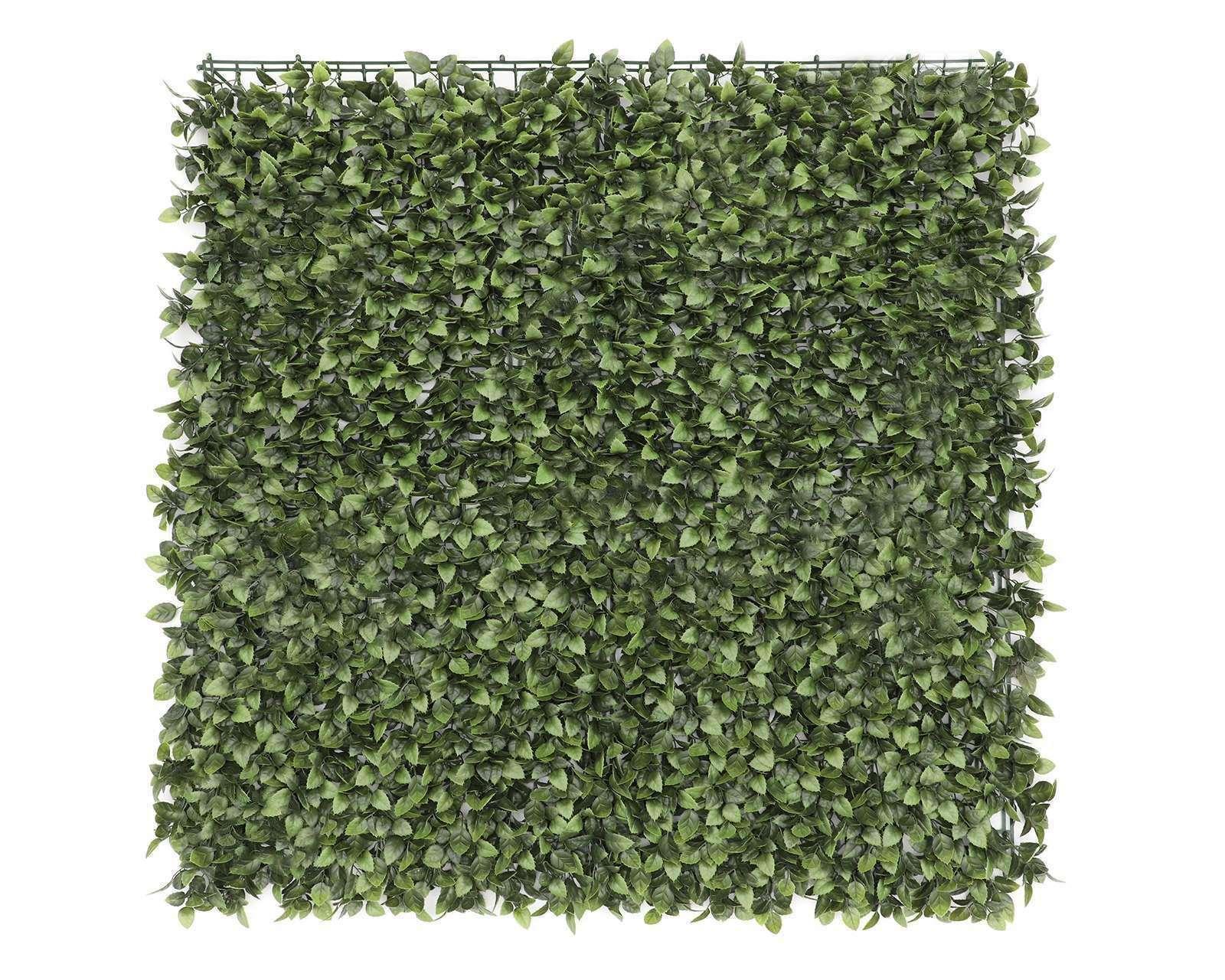 Foto 3 pulgar | Foto 2 | Follaje Verde Sevilla