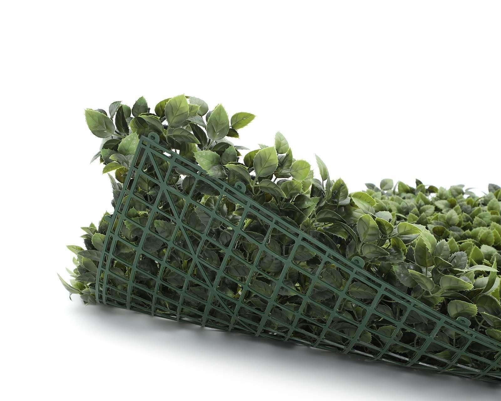 Foto 3 | Foto 3 | Follaje Verde Sevilla