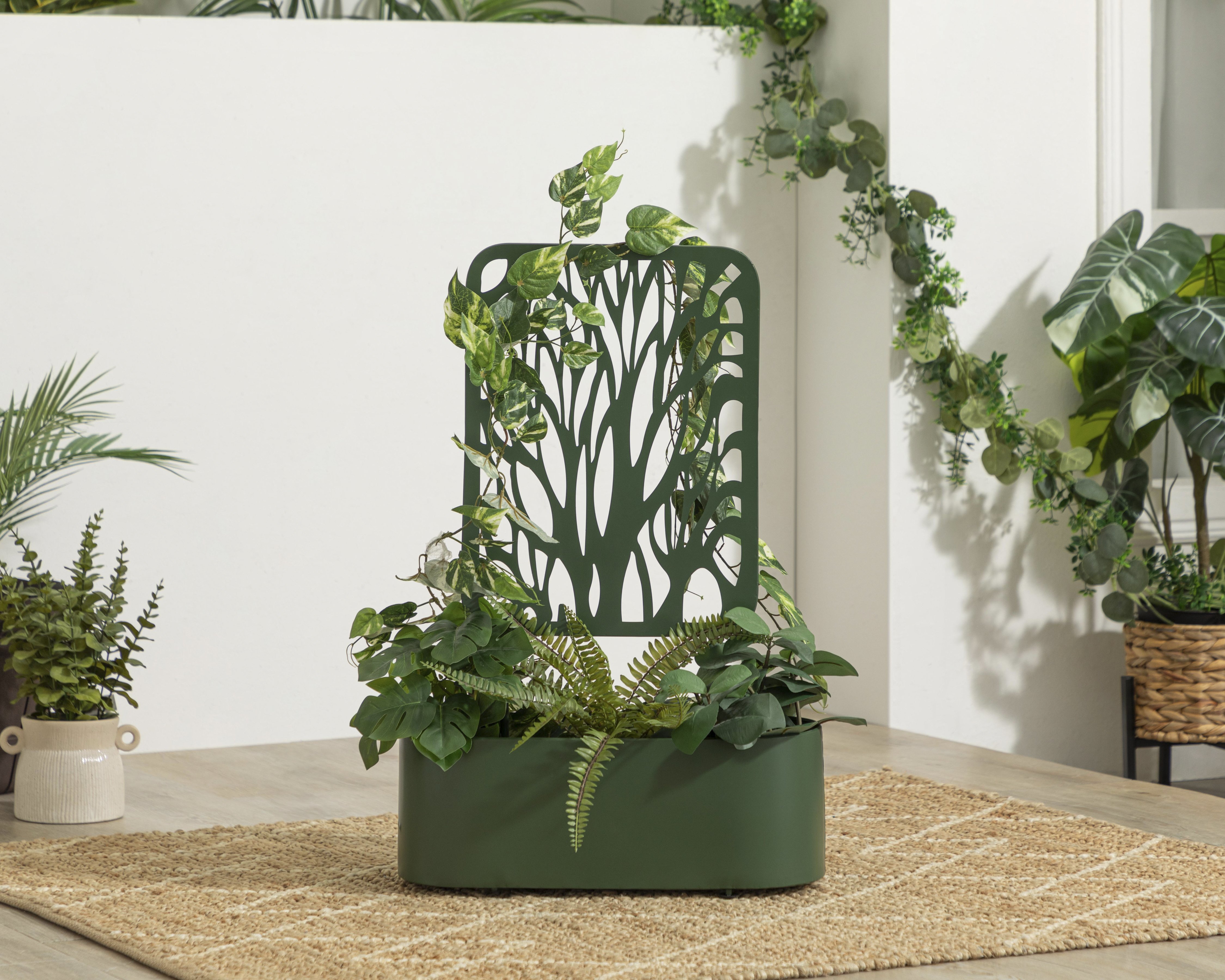 Foto 4 | Foto 4 | Maceta Congo