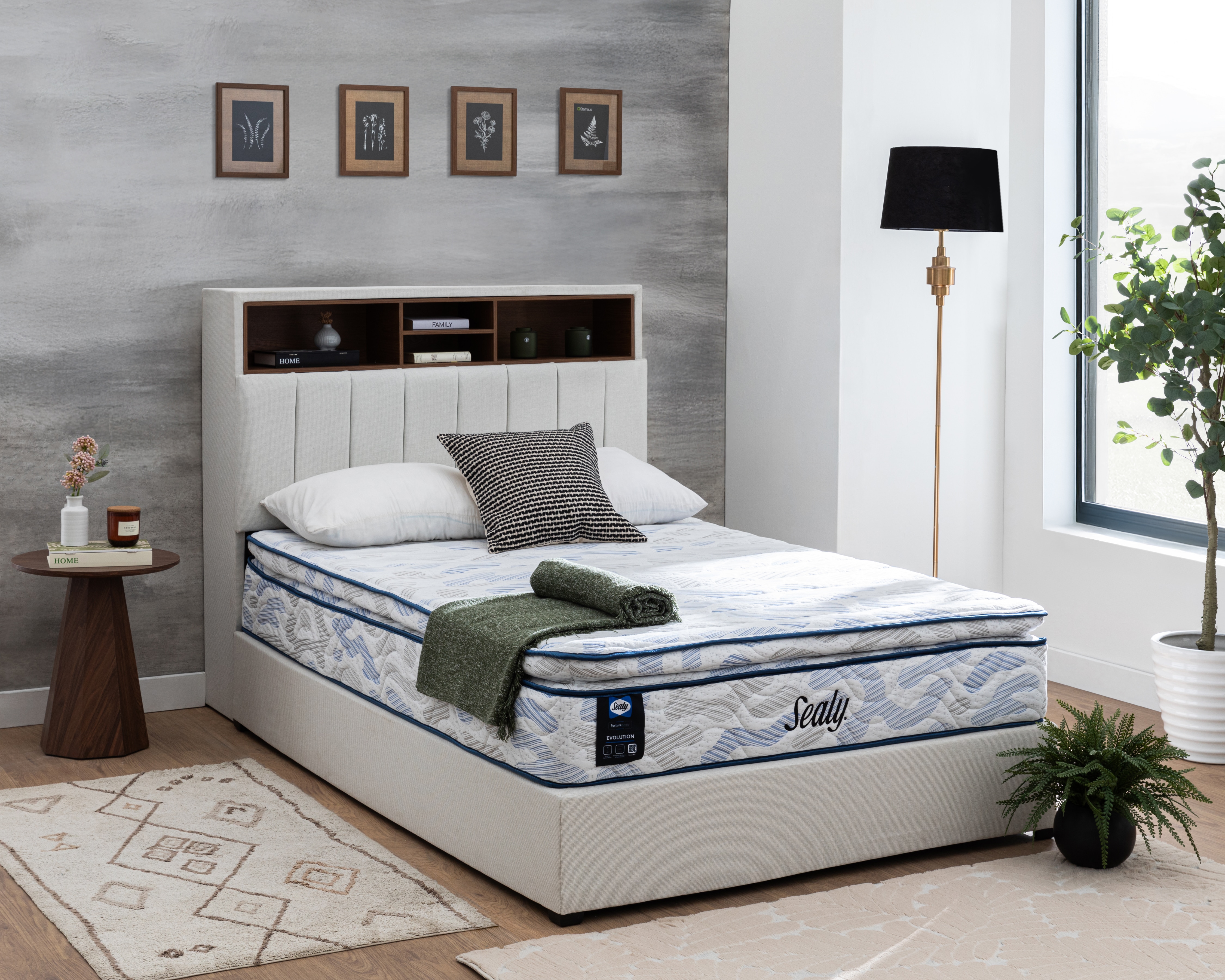 Colchón Matrimonial Sealy Mia