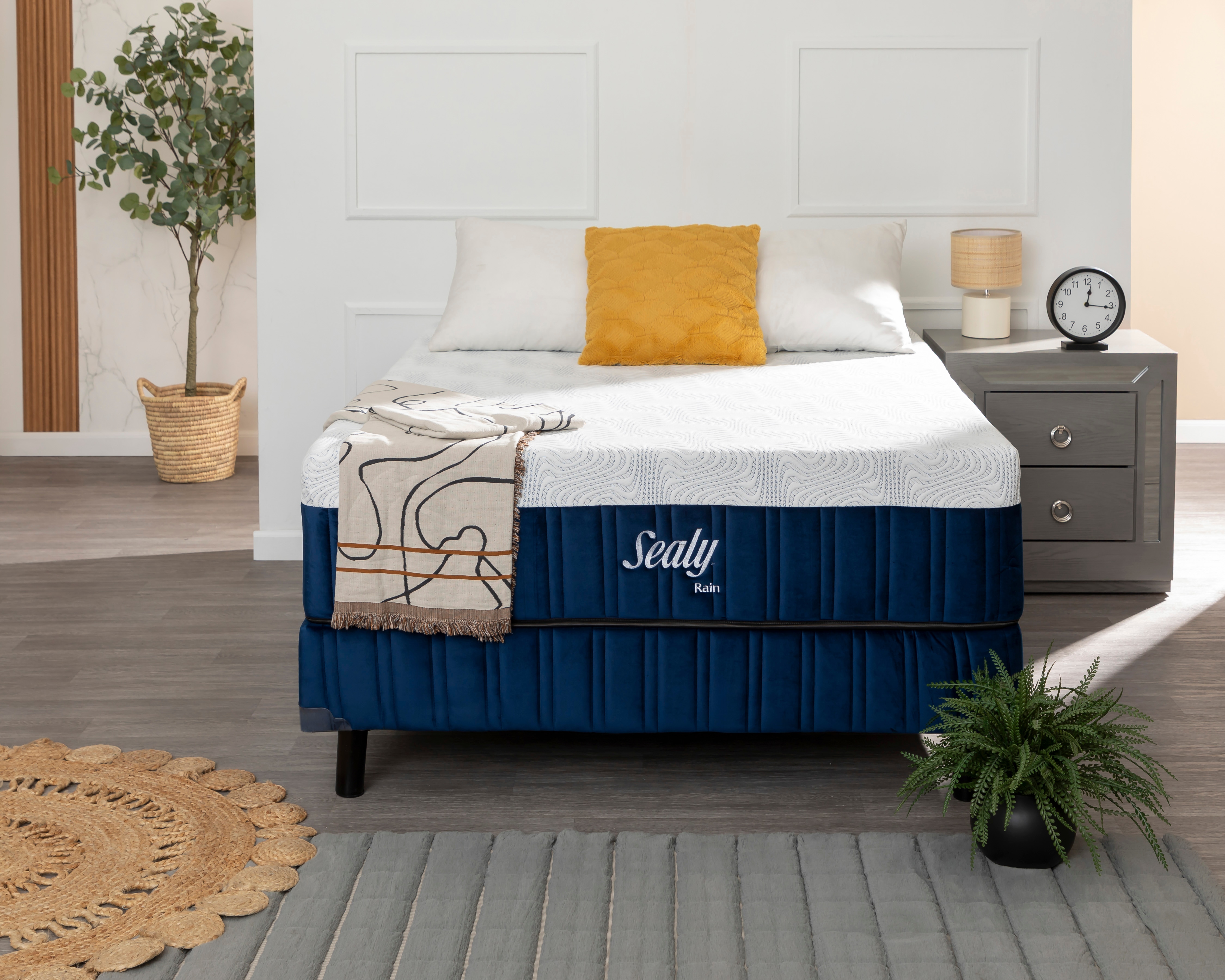 Juego de Colchón y Box Matrimonial Sealy Rain