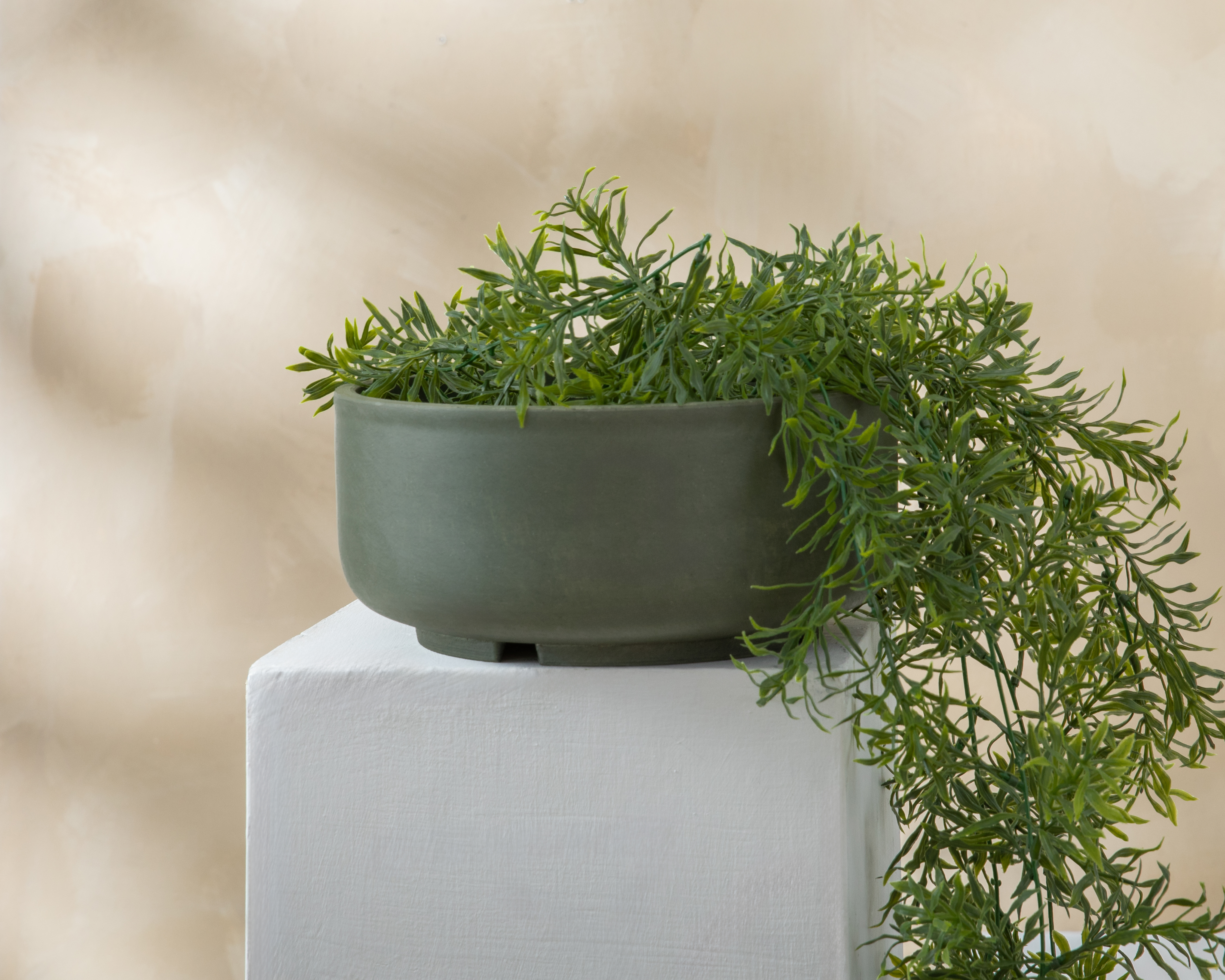 Foto 4 | Foto 4 | Maceta de Polietileno Congo 11 cm