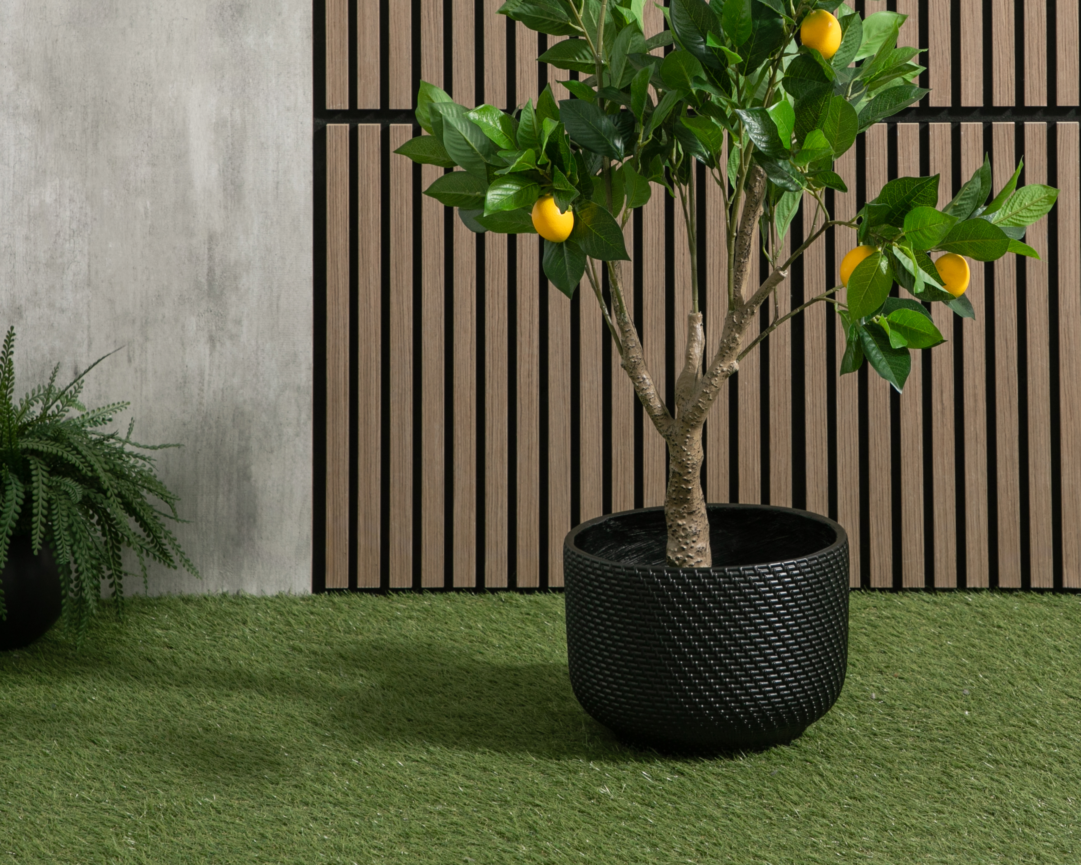 Foto 5 pulgar | Foto 4 | Maceta de Fibra de Vidrio Congo 21.5 cm