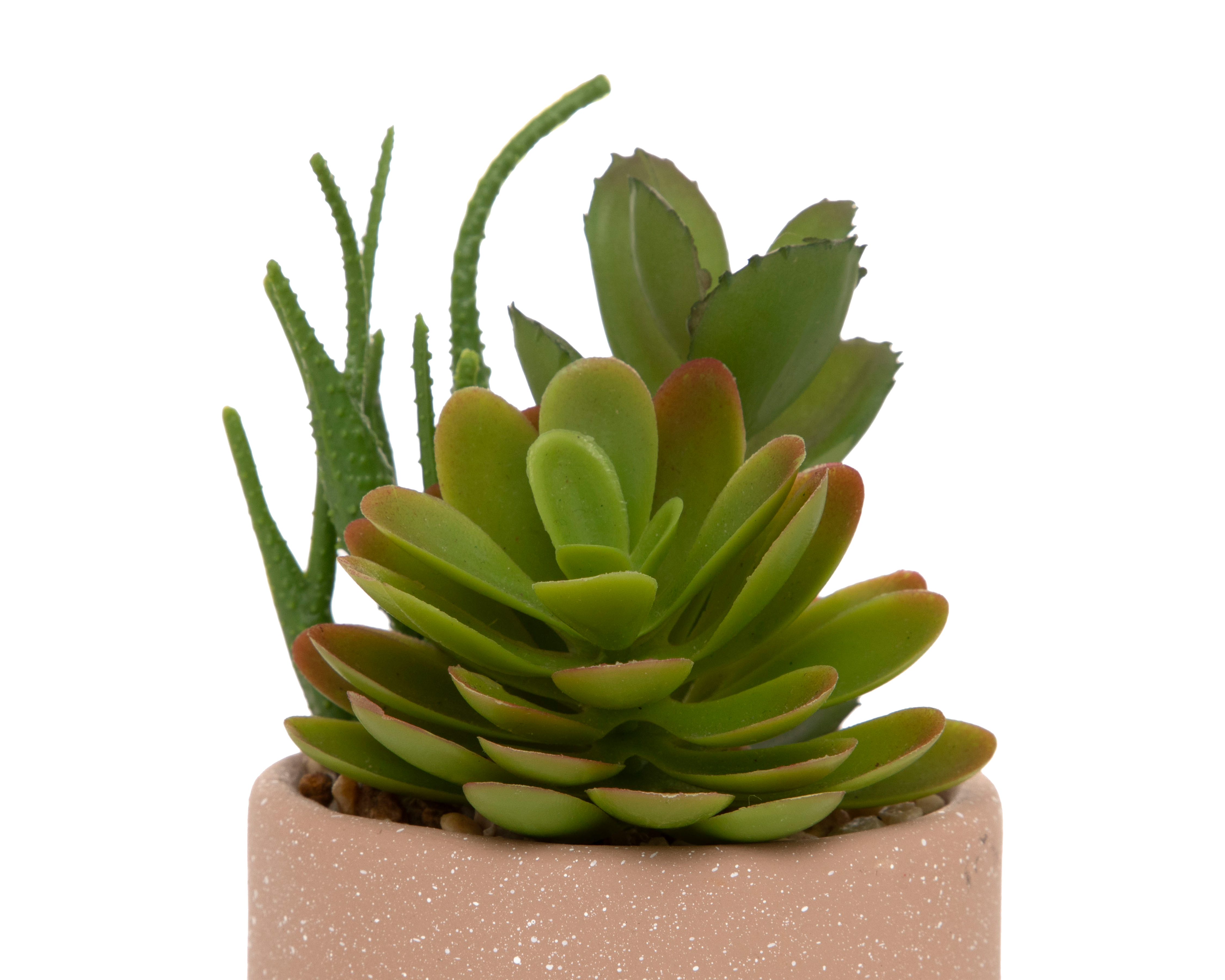 Foto 4 pulgar | Foto 3 | Planta Artificial con Maceta Starhaus 16 cm