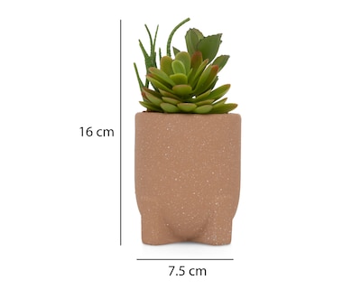 Foto 5 | Foto 5 | Planta Artificial con Maceta Starhaus 16 cm