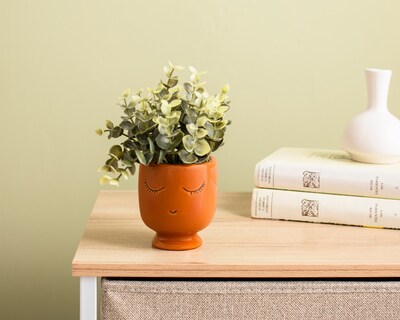 Foto 4 | Foto 4 | Planta Artificial con Maceta Starhaus 9 cm