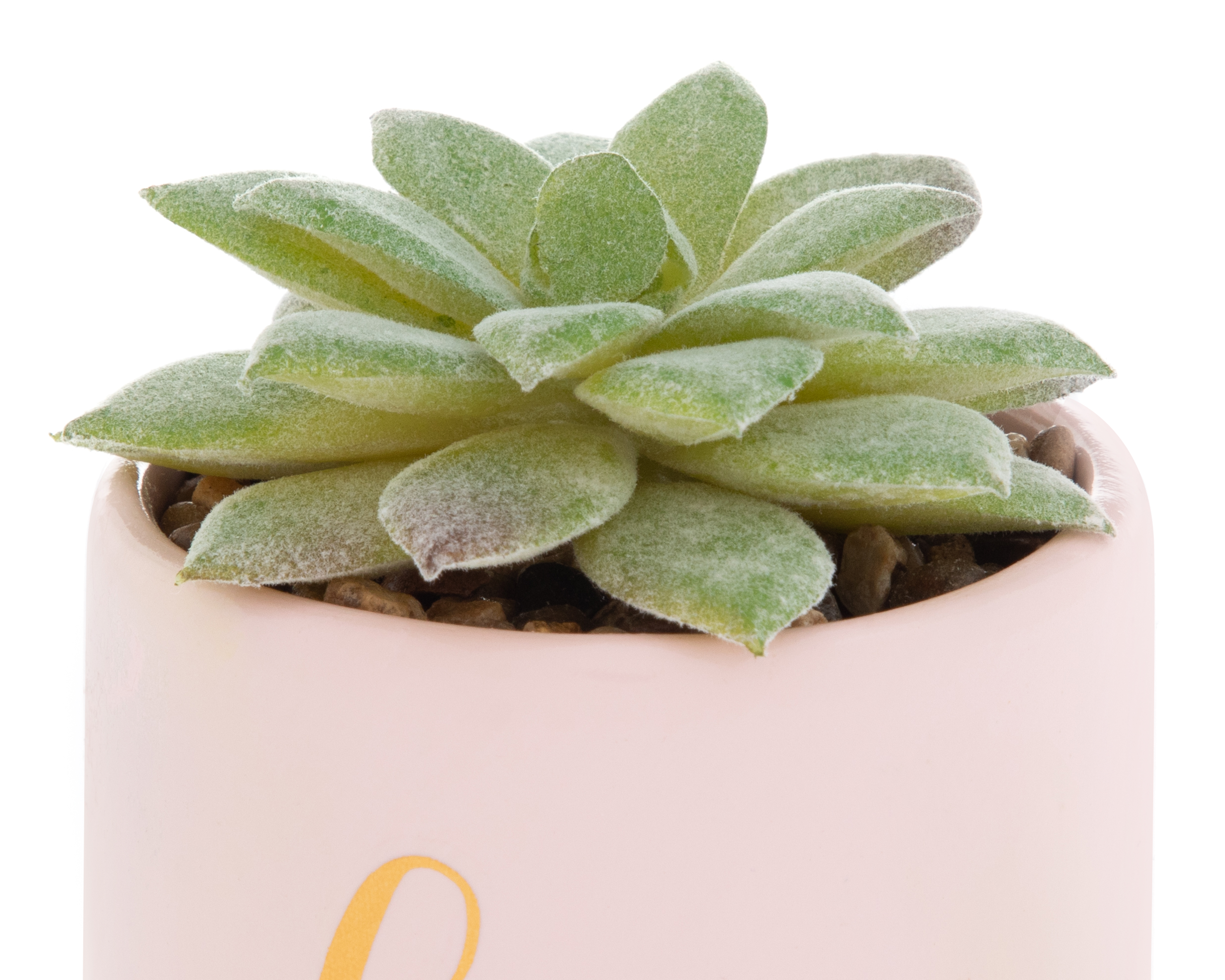 Foto 4 pulgar | Foto 3 | Planta Artificial con Maceta Starhaus 9.5 cm