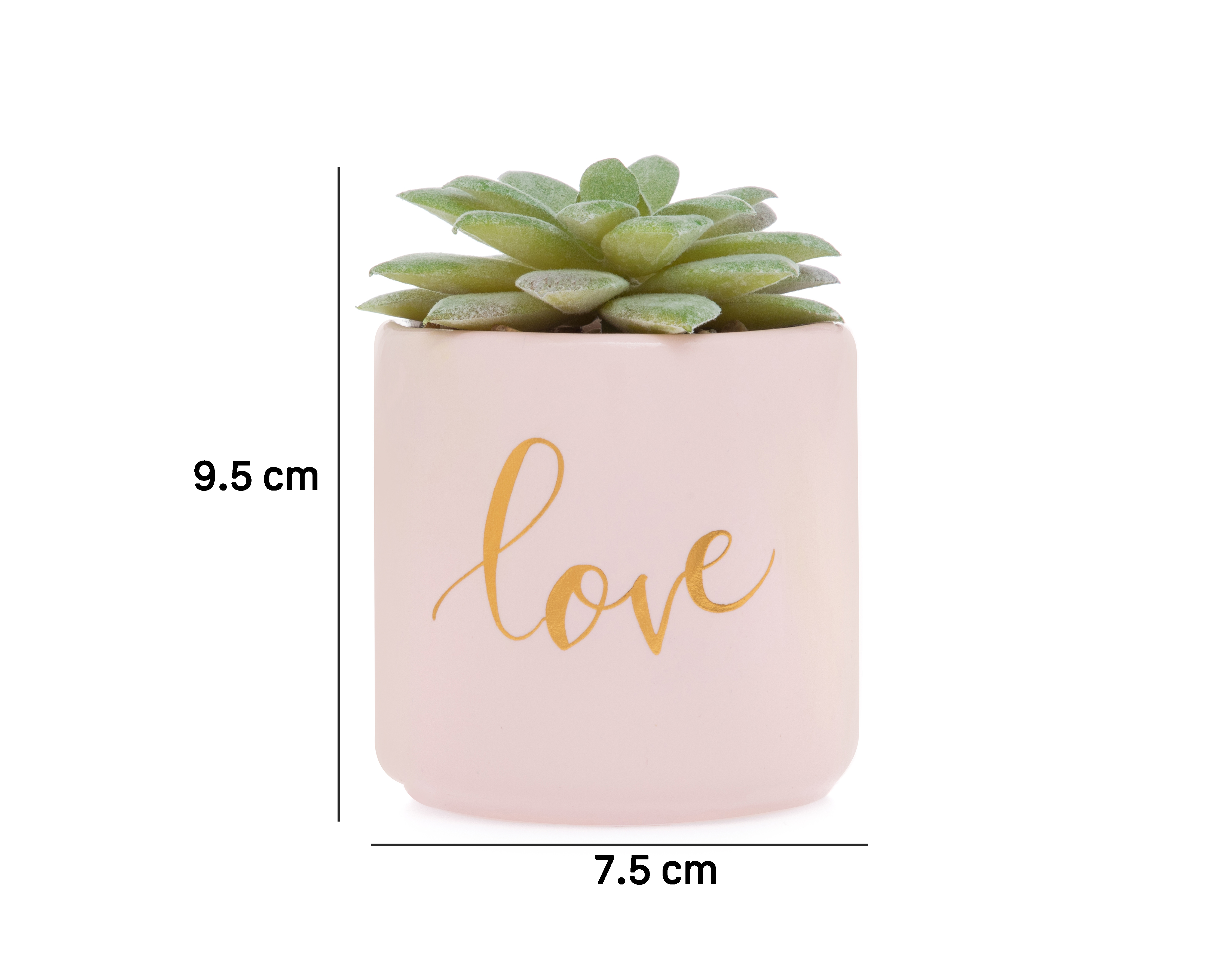Foto 5 | Foto 5 | Planta Artificial con Maceta Starhaus 9.5 cm