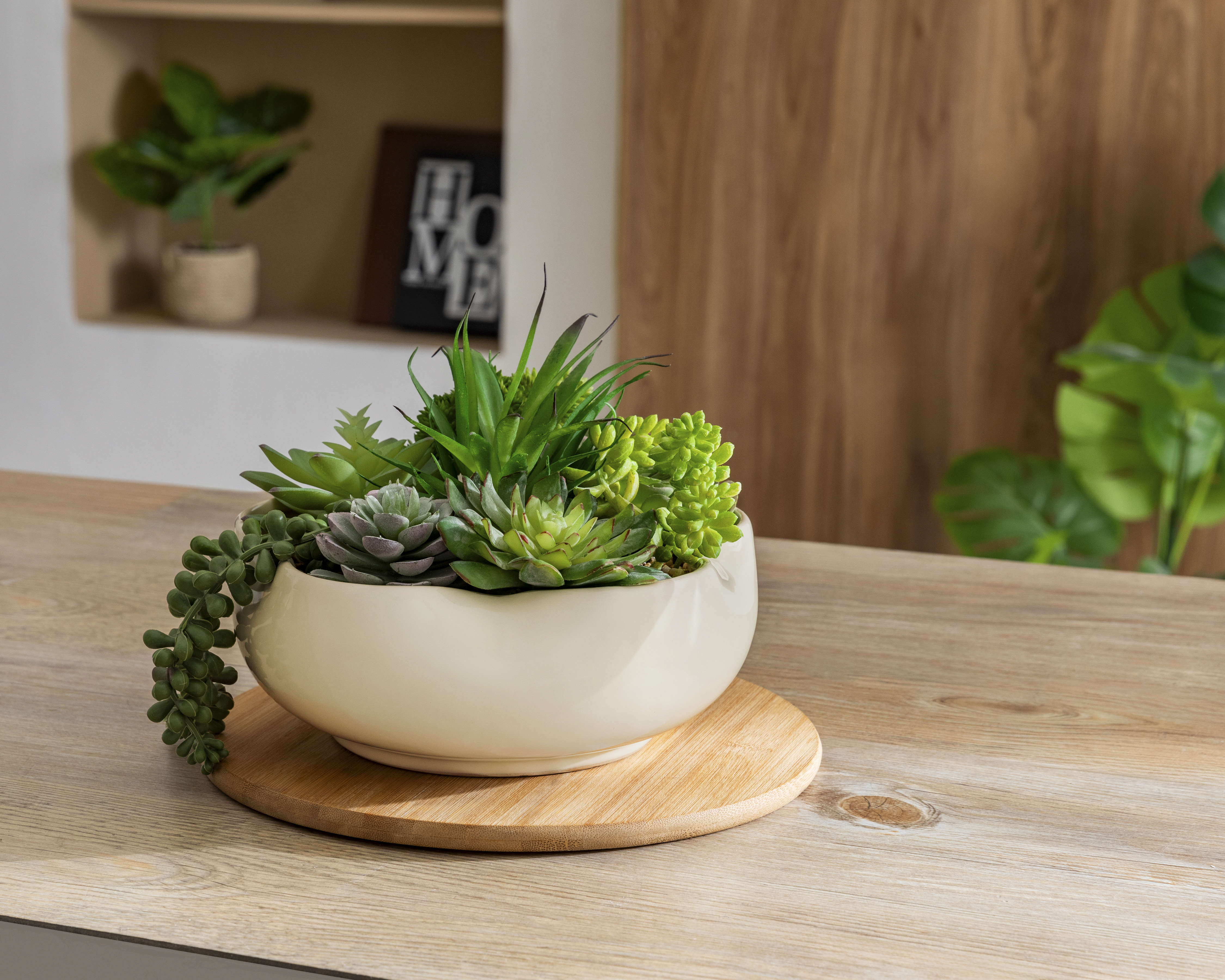 Foto 4 | Foto 4 | Planta Artificial con Maceta Starhaus 19 cm