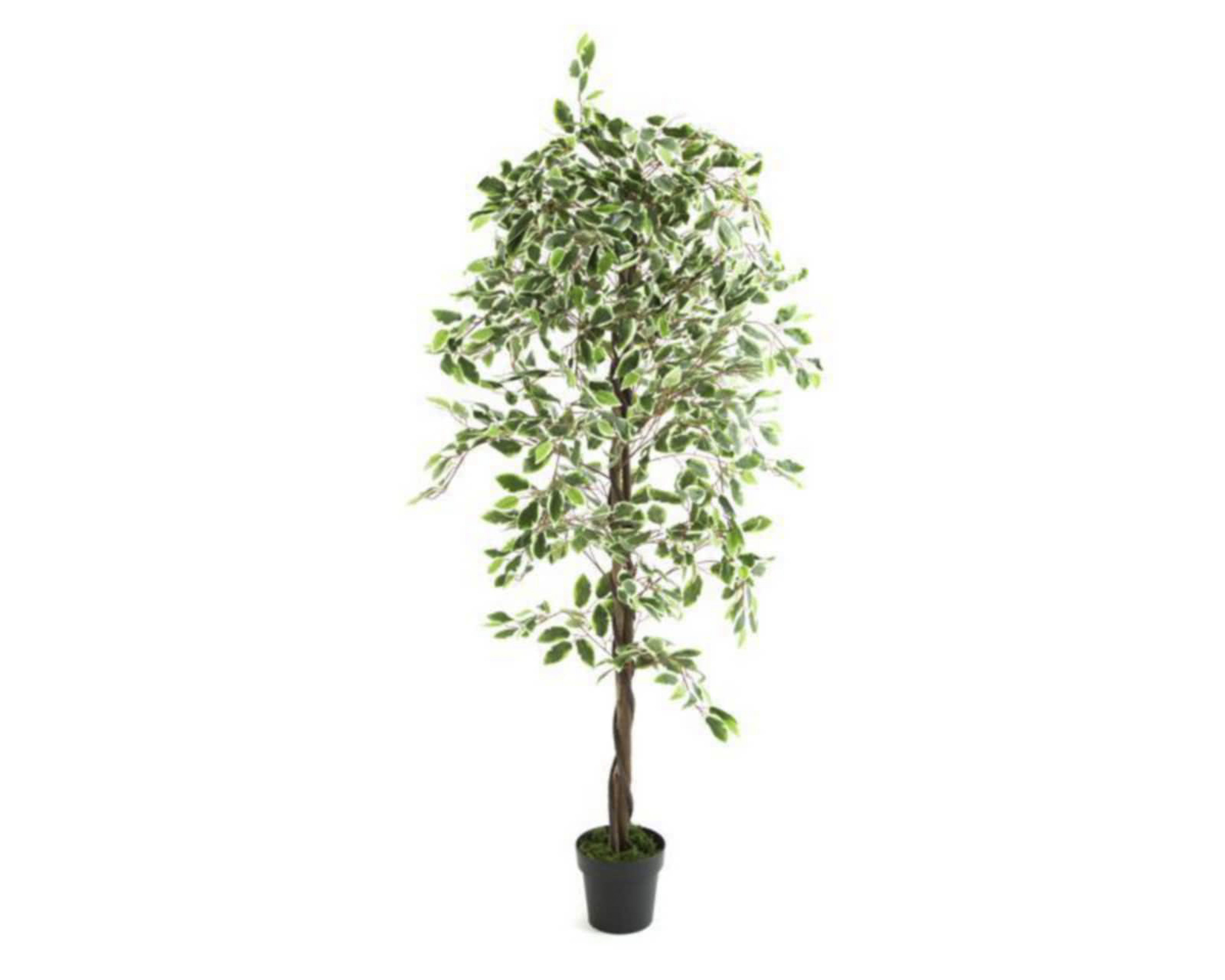 Foto 2 | Foto 2 | Árbol Decorativo Jacky de 188 cm