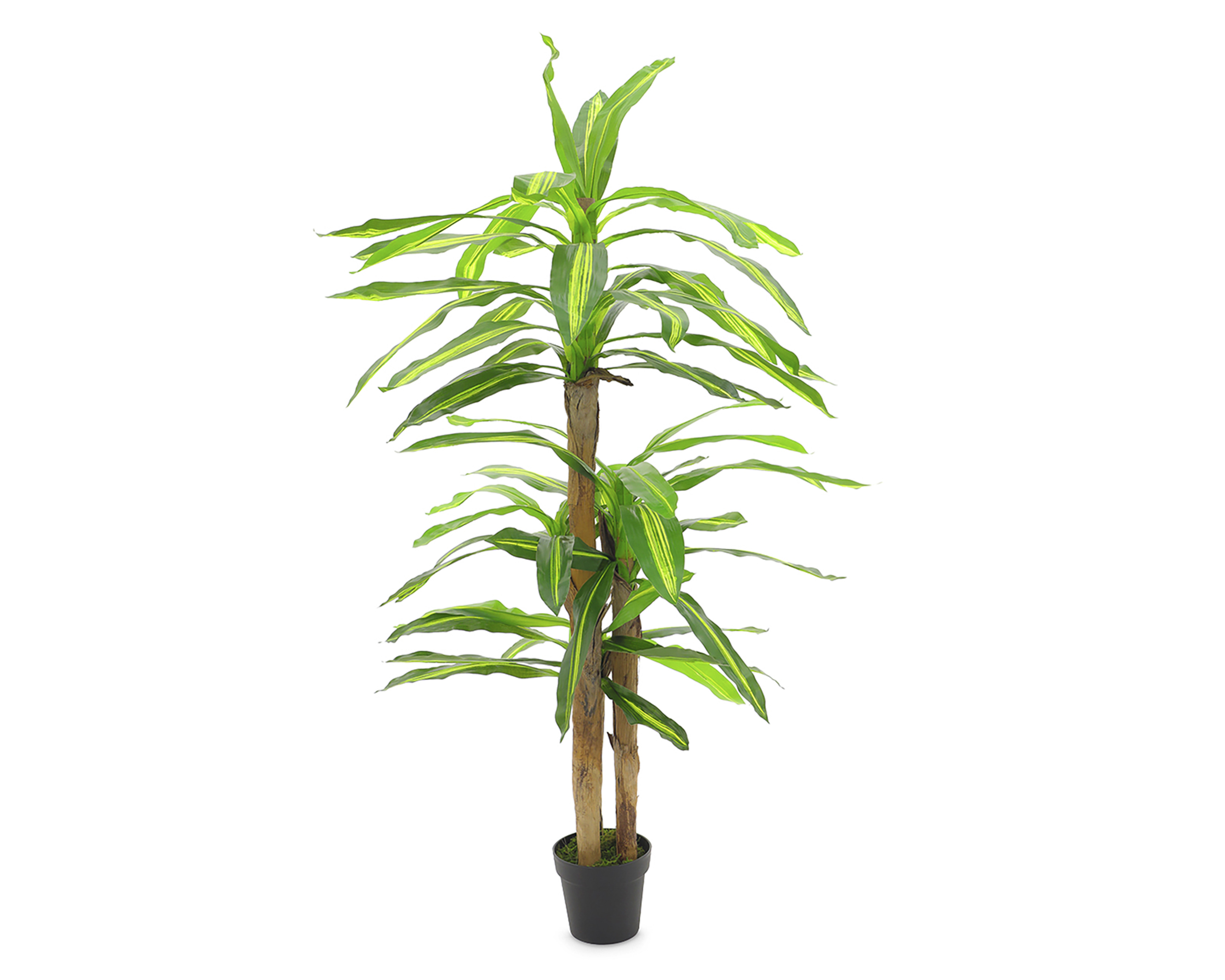 Foto 3 pulgar | Foto 2 | Planta Artificial Jade 160 cm