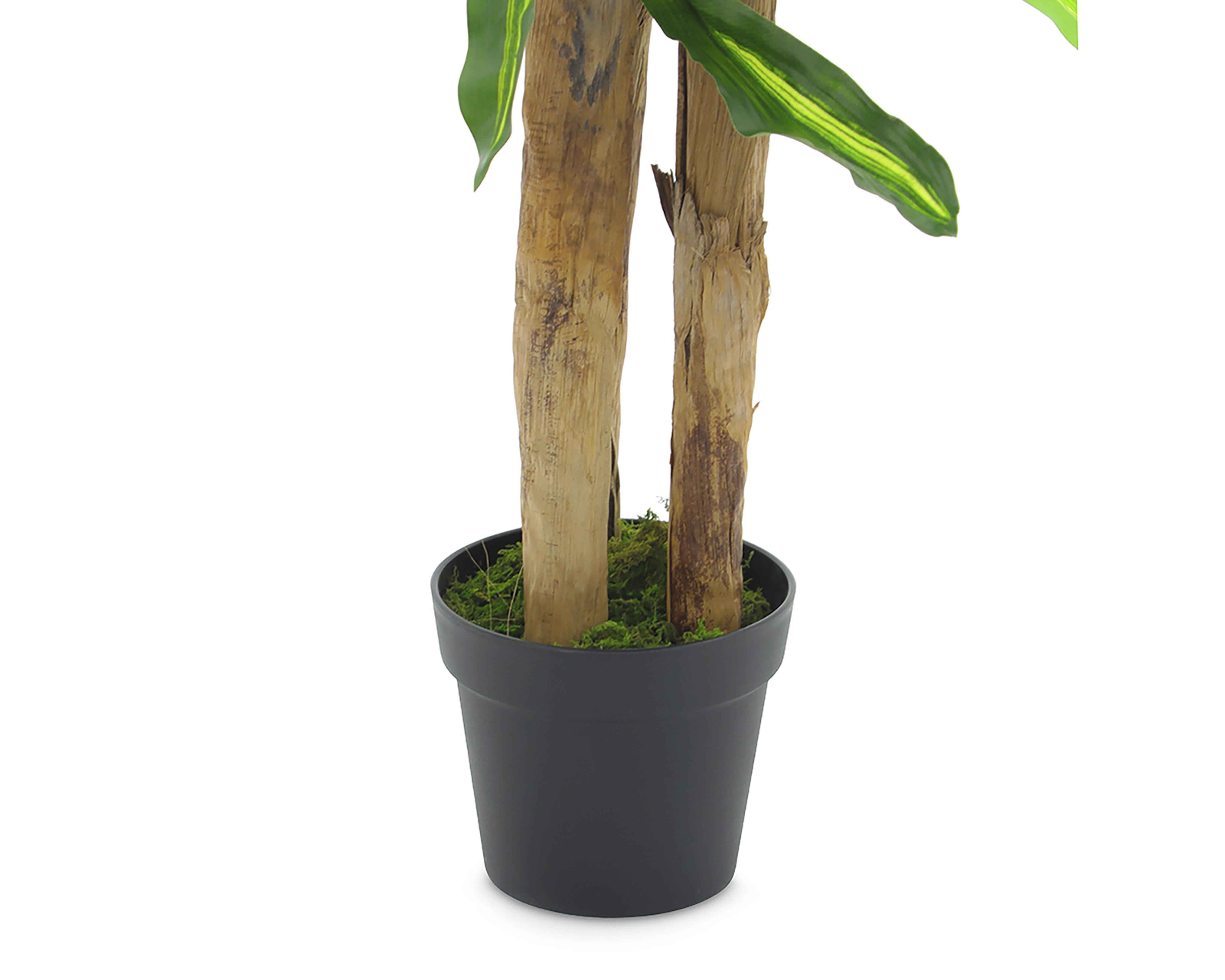 Foto 4 pulgar | Foto 3 | Planta Artificial Jade 160 cm