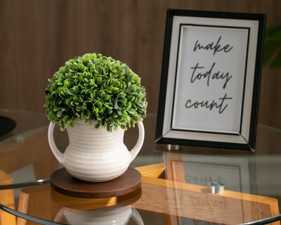 Foto 4 | Foto 4 | Planta Artificial con Maceta Starhaus 16 cm