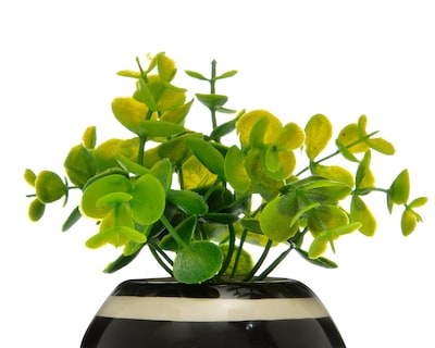 Foto 3 | Foto 3 | Planta Artificial con Maceta Starhaus 16 cm