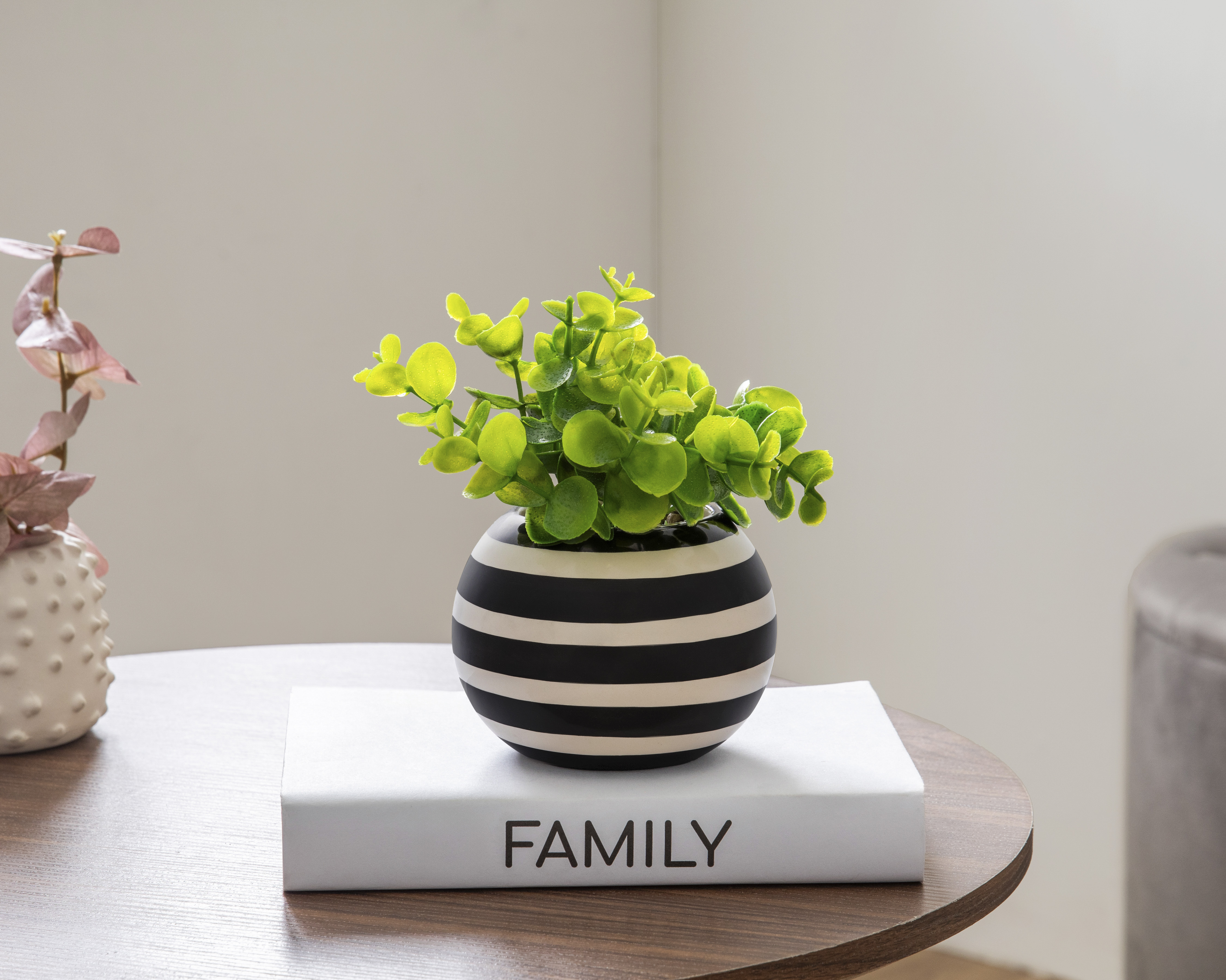 Foto 4 | Foto 4 | Planta Artificial con Maceta Starhaus 16 cm