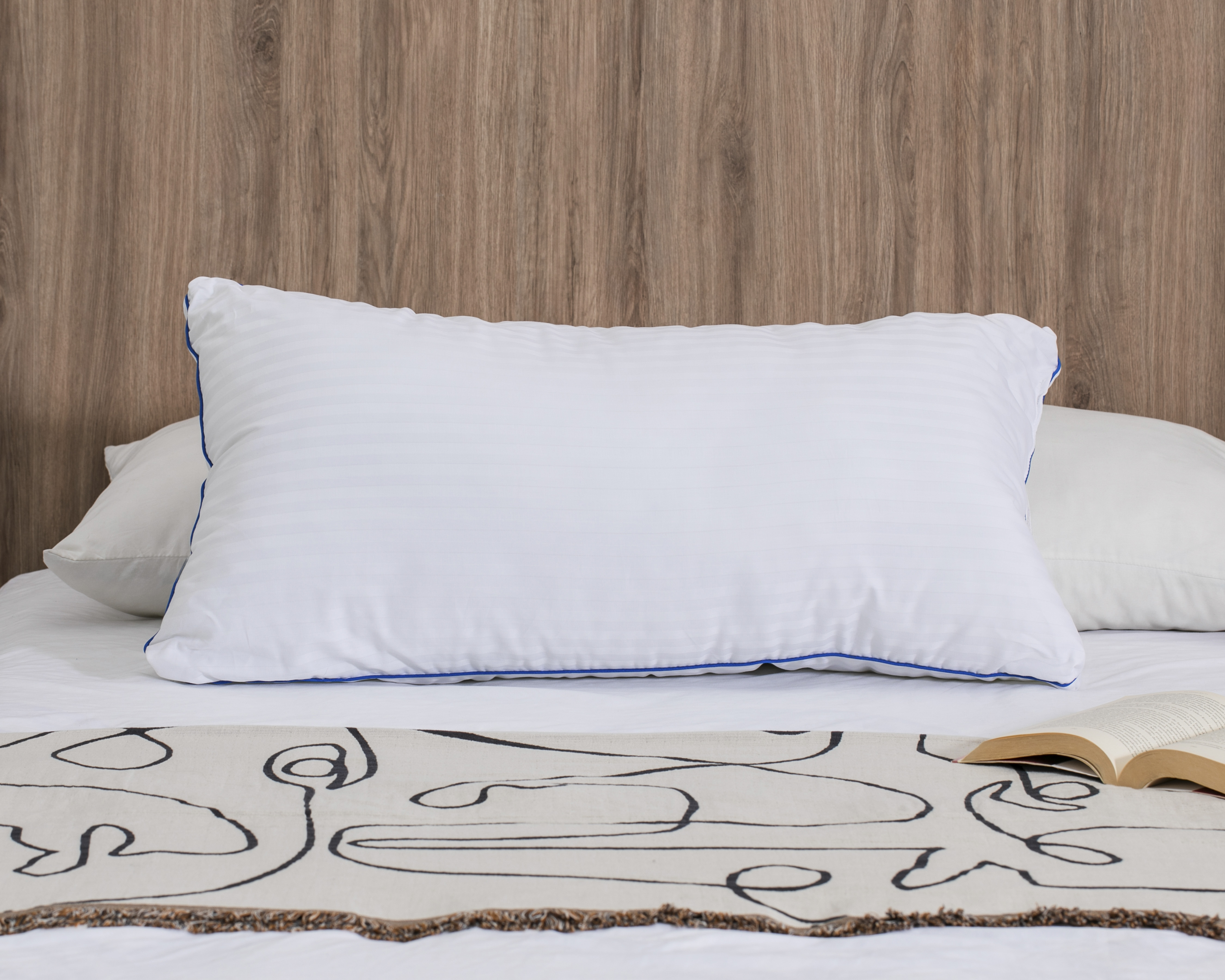 Foto 1 | Foto 1 | Almohada Wendy Skin Care King Size Suave