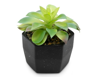 Foto 2 | Foto 2 | Planta Artificial con Maceta Starhaus 16 cm
