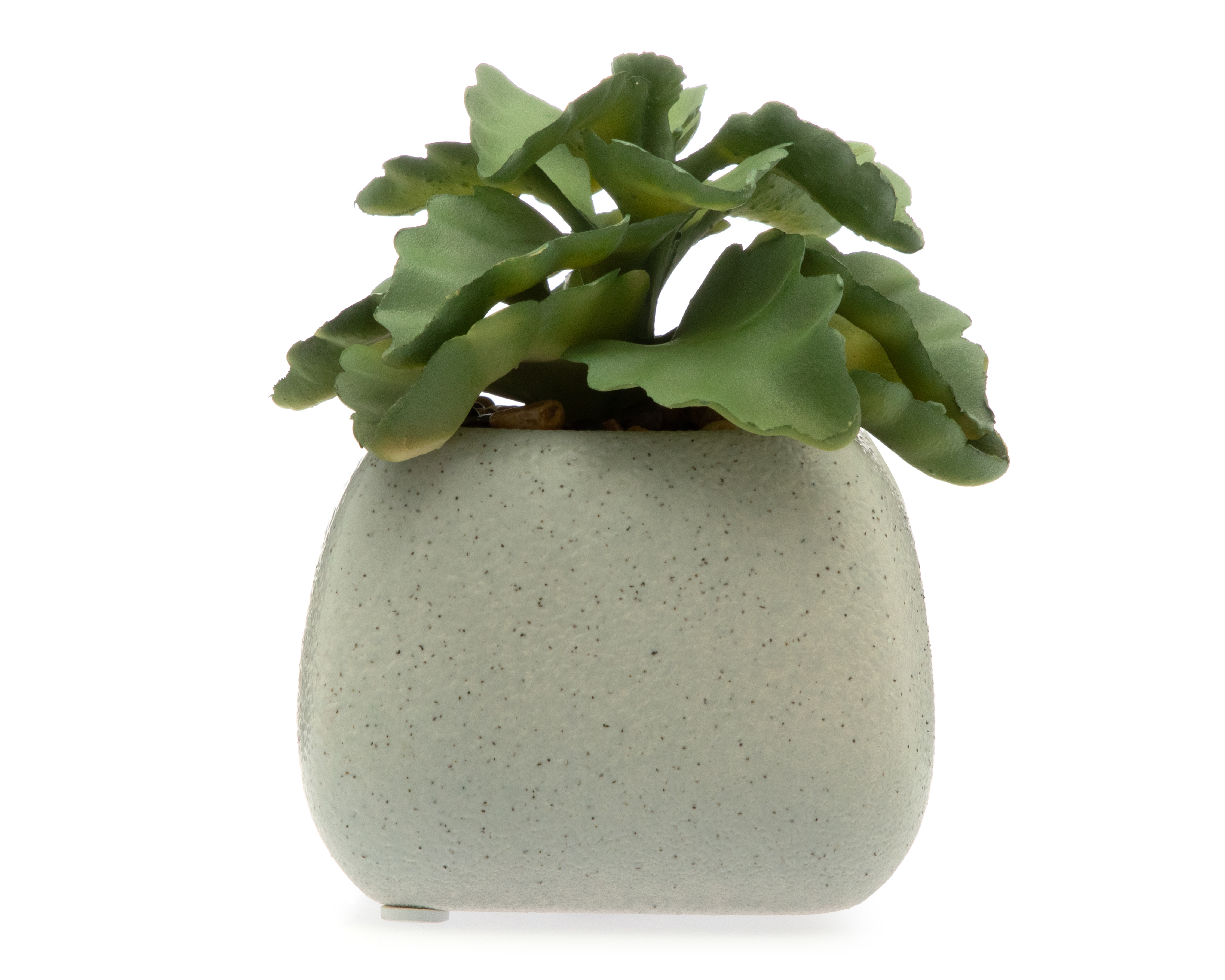 Foto 1 | Foto 1 | Planta Artificial con Maceta Starhaus 12 cm