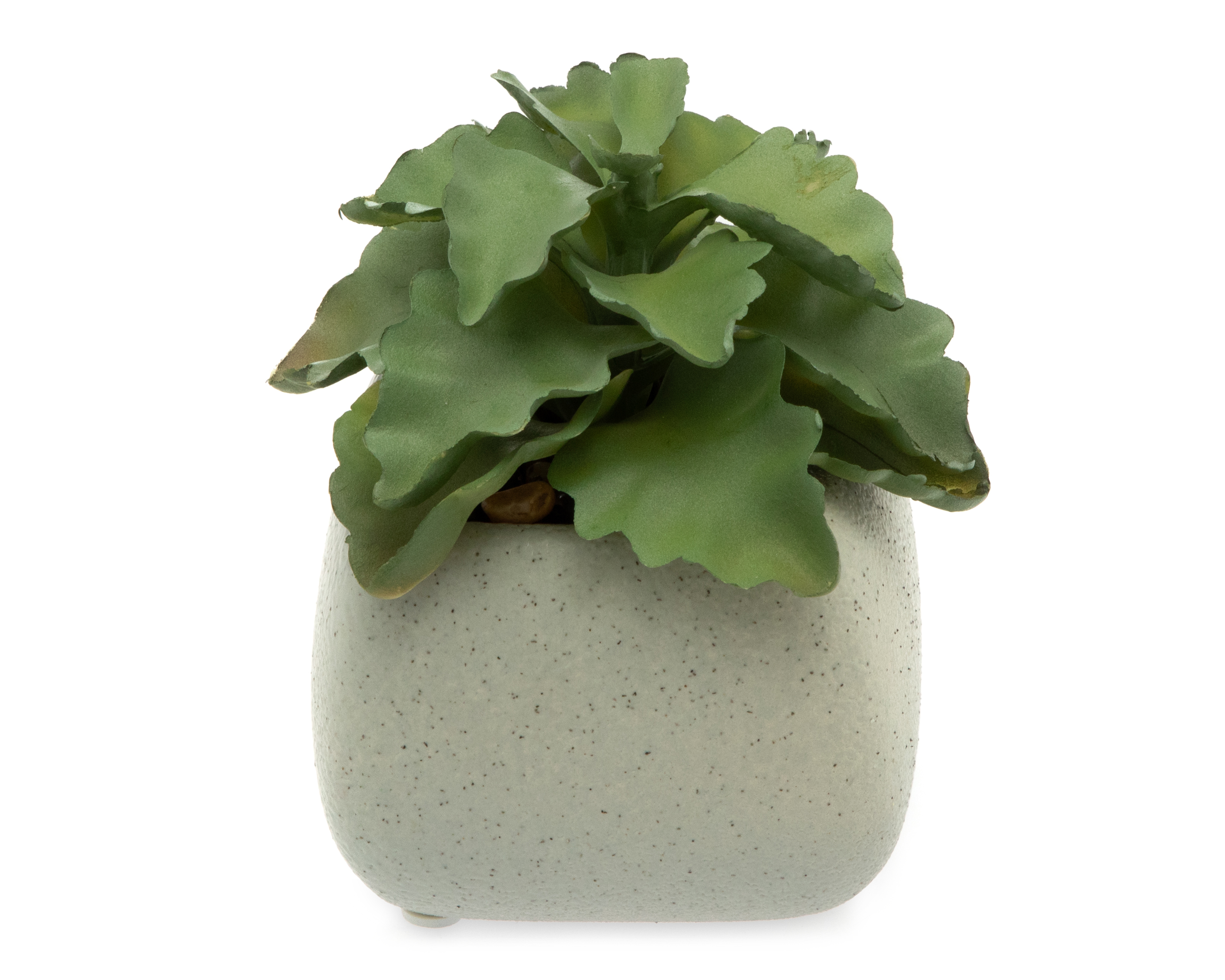 Foto 3 pulgar | Foto 2 | Planta Artificial con Maceta Starhaus 12 cm