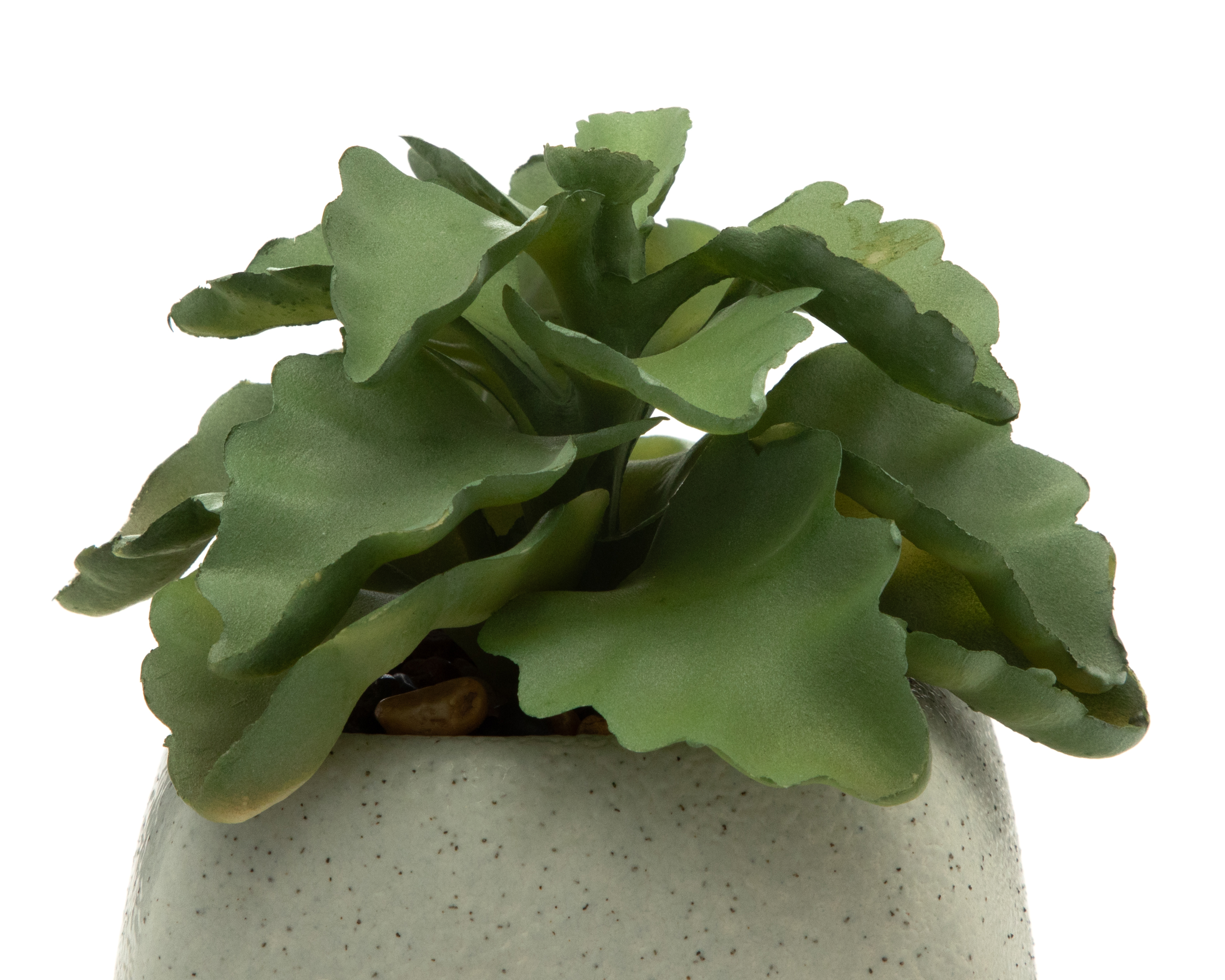 Foto 4 pulgar | Foto 3 | Planta Artificial con Maceta Starhaus 12 cm