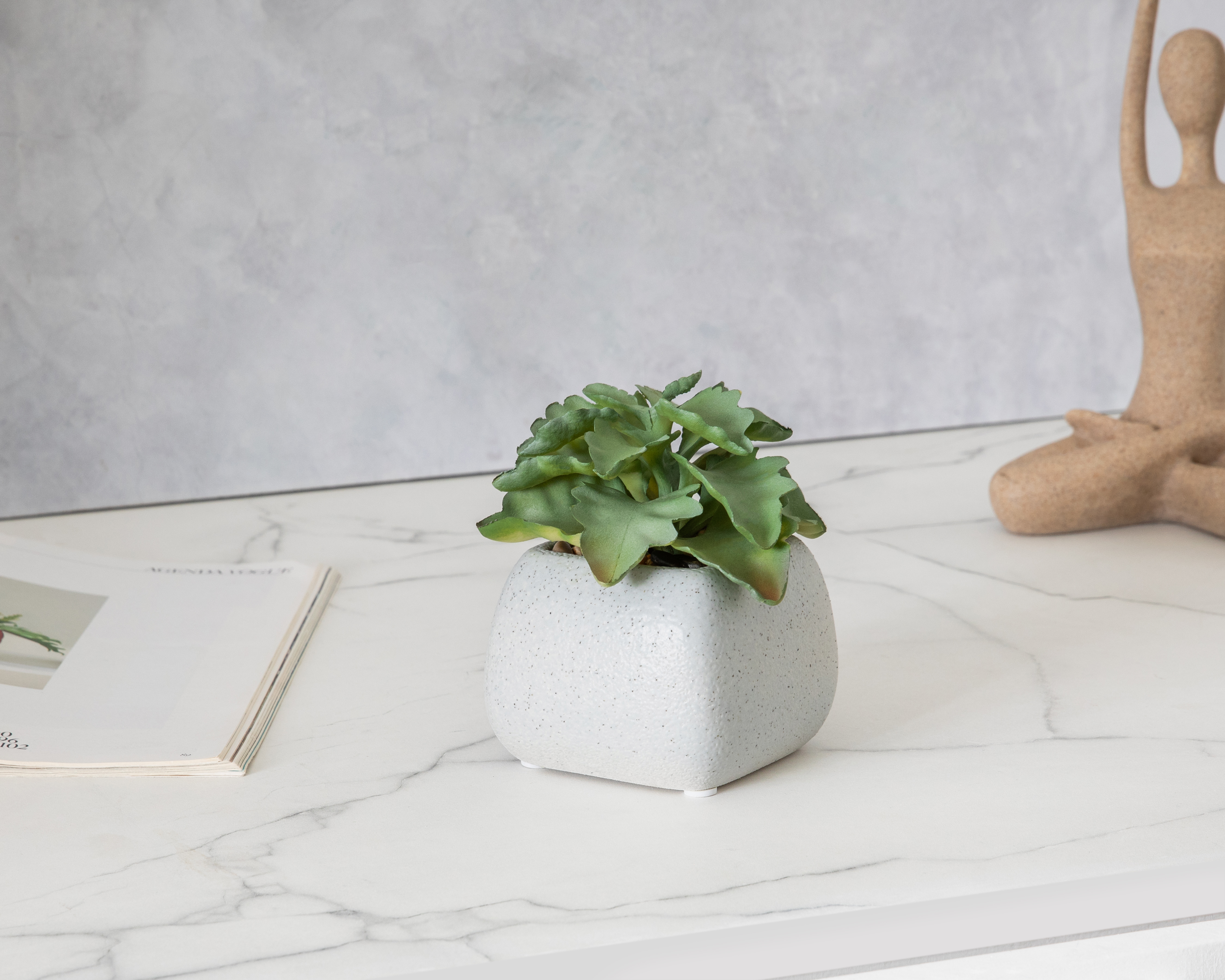Foto 4 | Foto 4 | Planta Artificial con Maceta Starhaus 12 cm