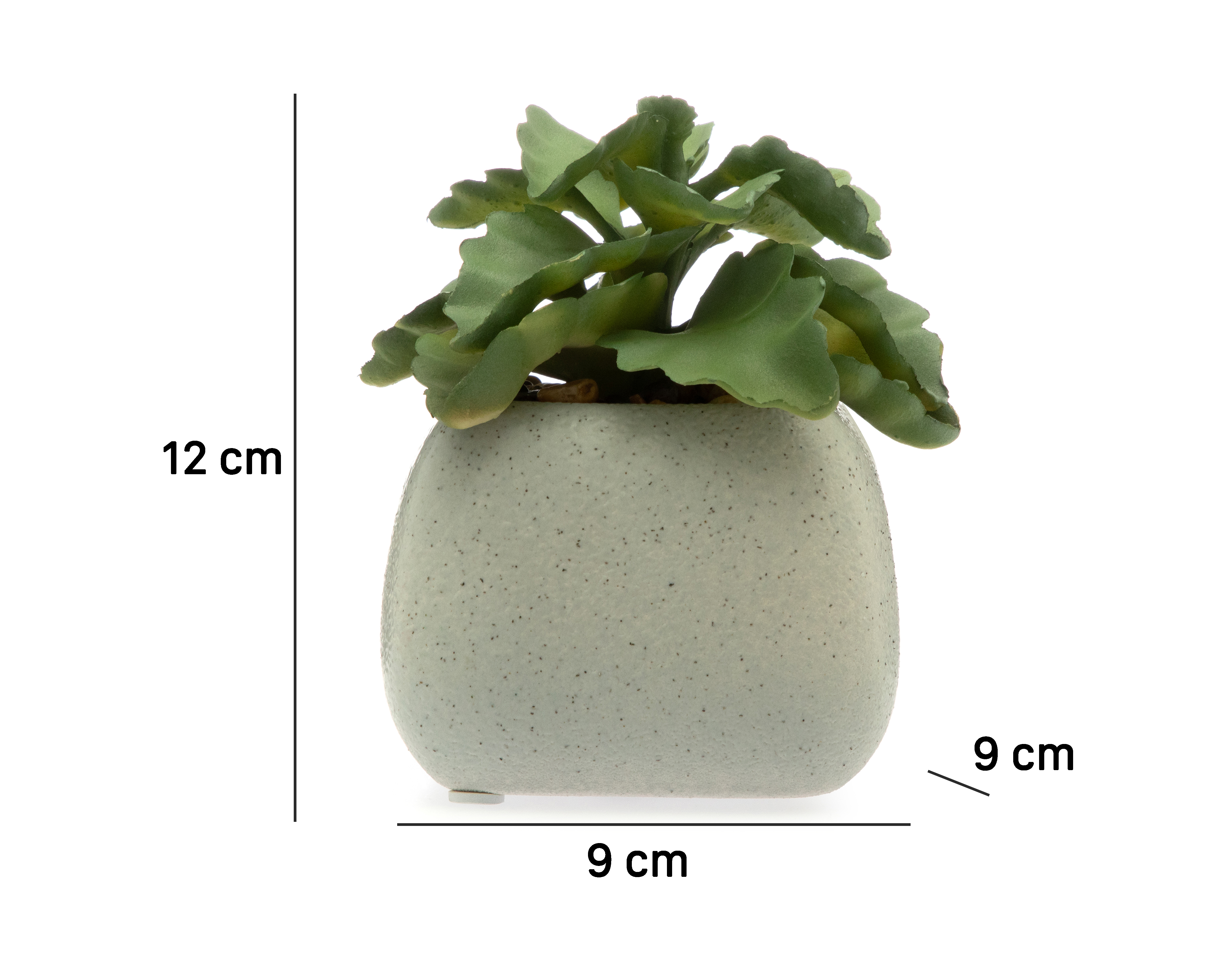 Foto 6 pulgar | Foto 5 | Planta Artificial con Maceta Starhaus 12 cm