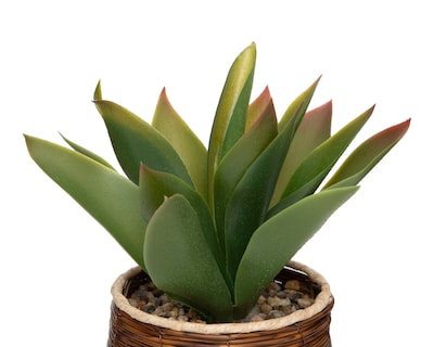 Foto 3 | Foto 3 | Agave Artificial con Maceta Starhaus 23 cm
