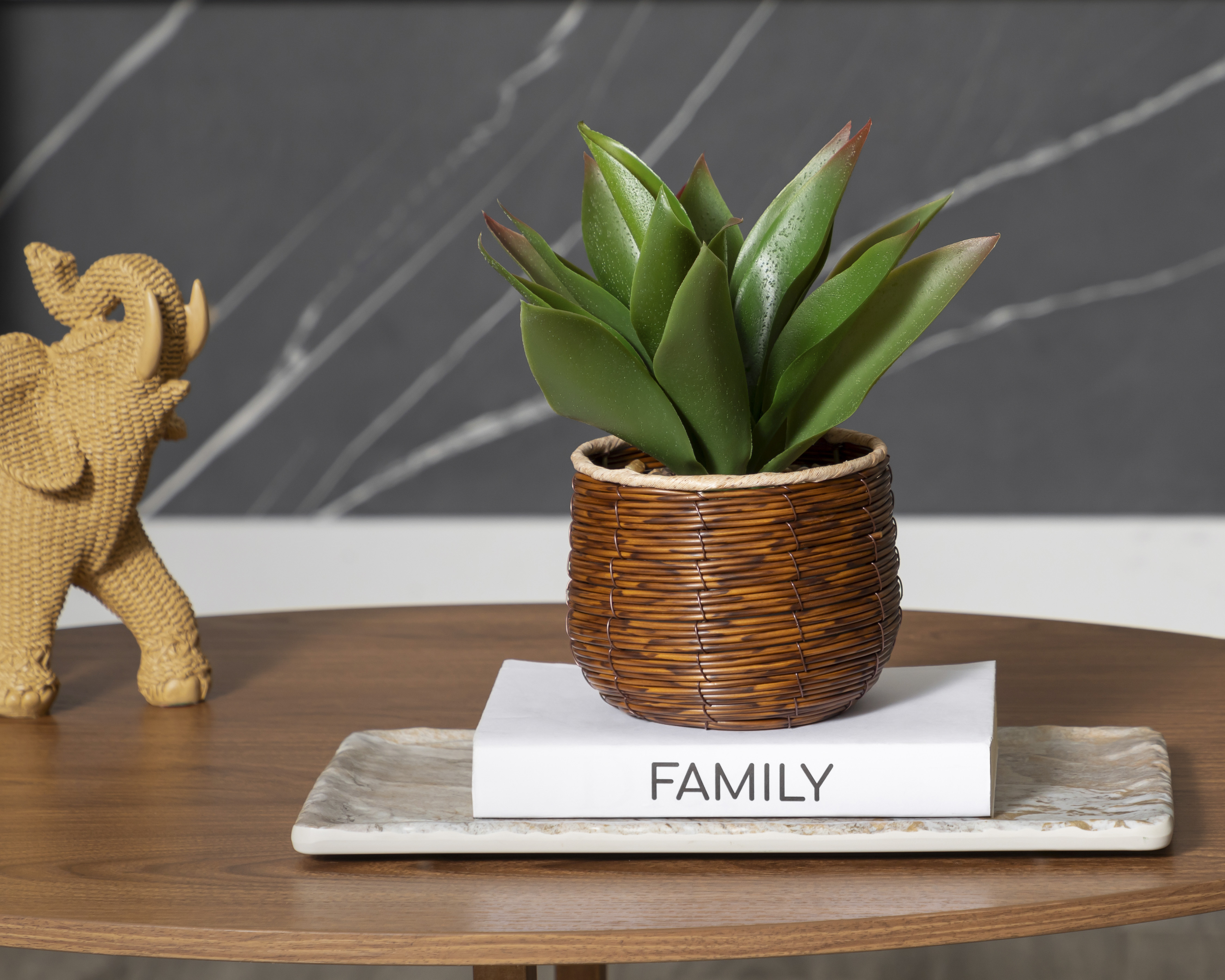 Foto 5 pulgar | Foto 4 | Agave Artificial con Maceta Starhaus 23 cm